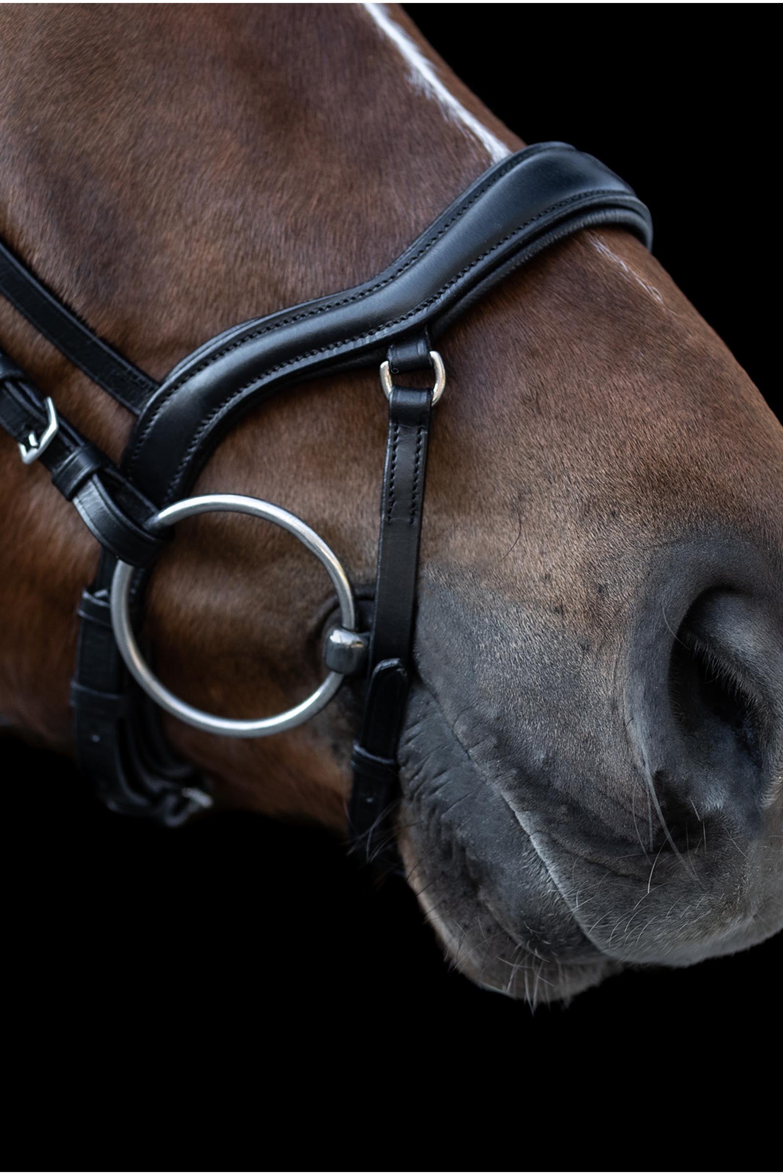 Waldhausen X-Line New Shape II Tr&auml;ns