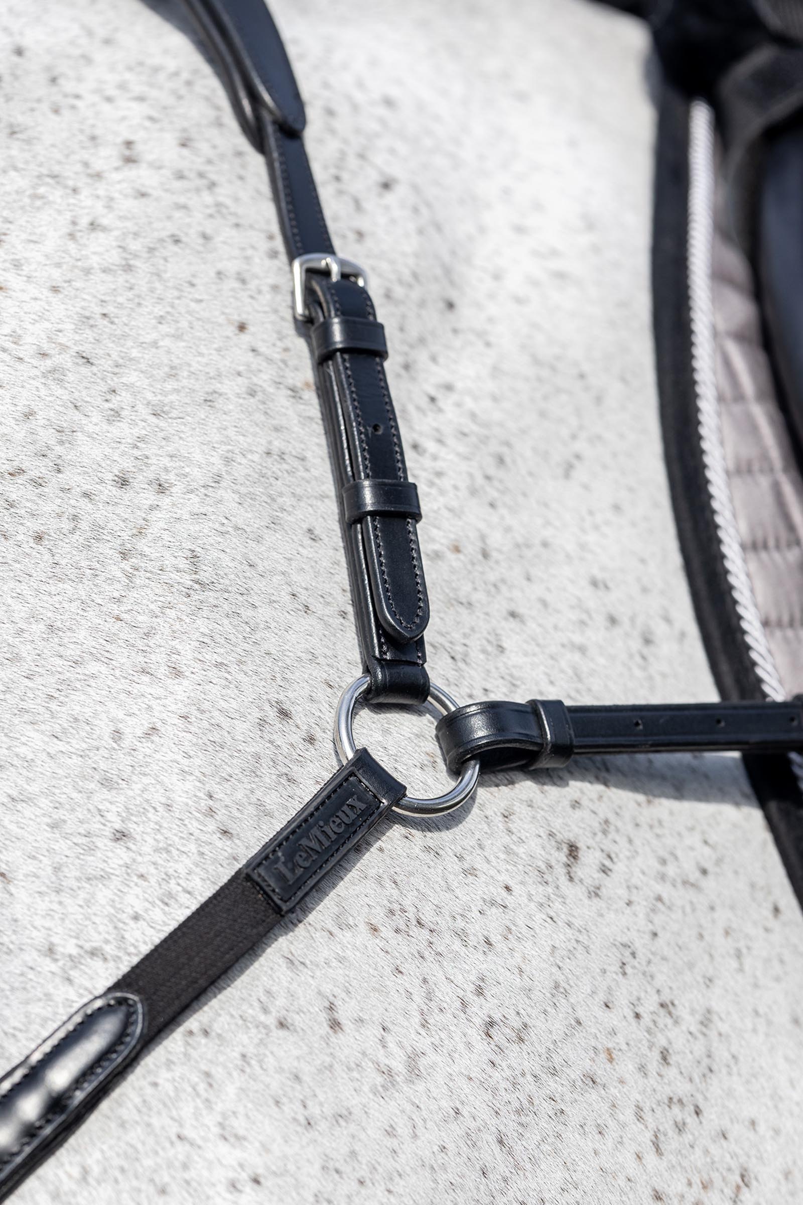 LeMieux Förbygel med avtagbar Martingal