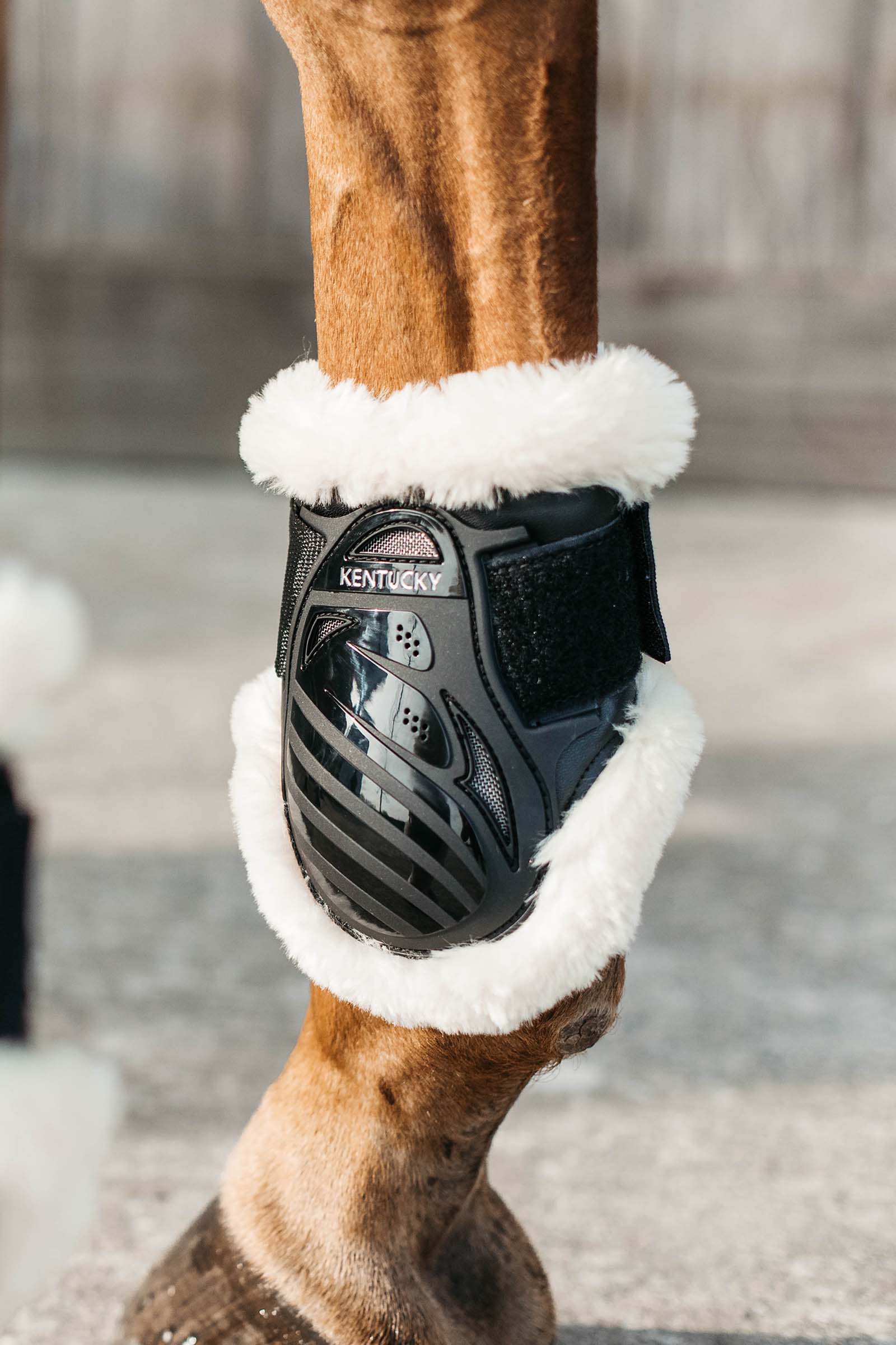 Kentucky Horsewear kotskydd med veganskt fårskinn för unghästar