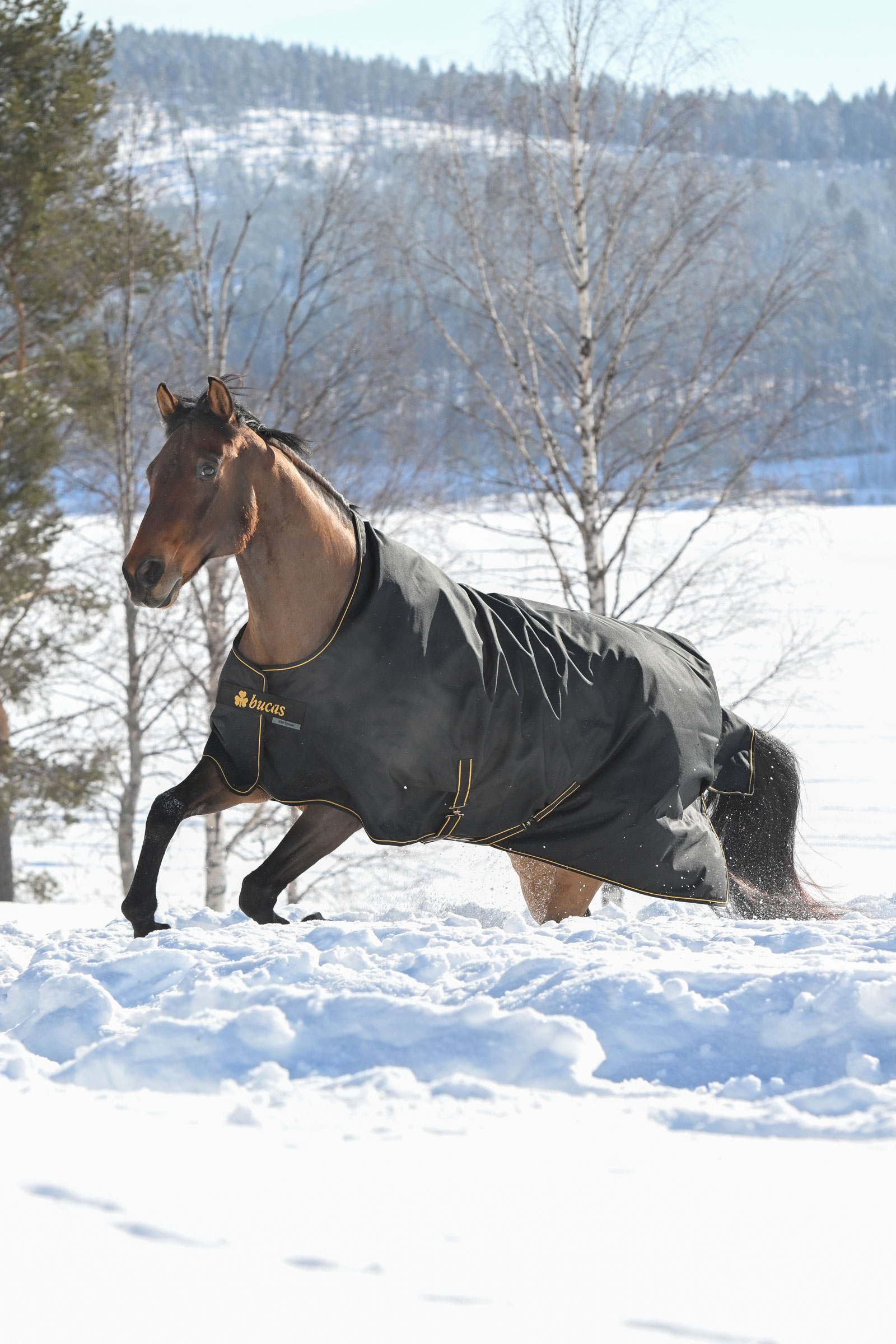 Bucas Irish utetäcke, 300g