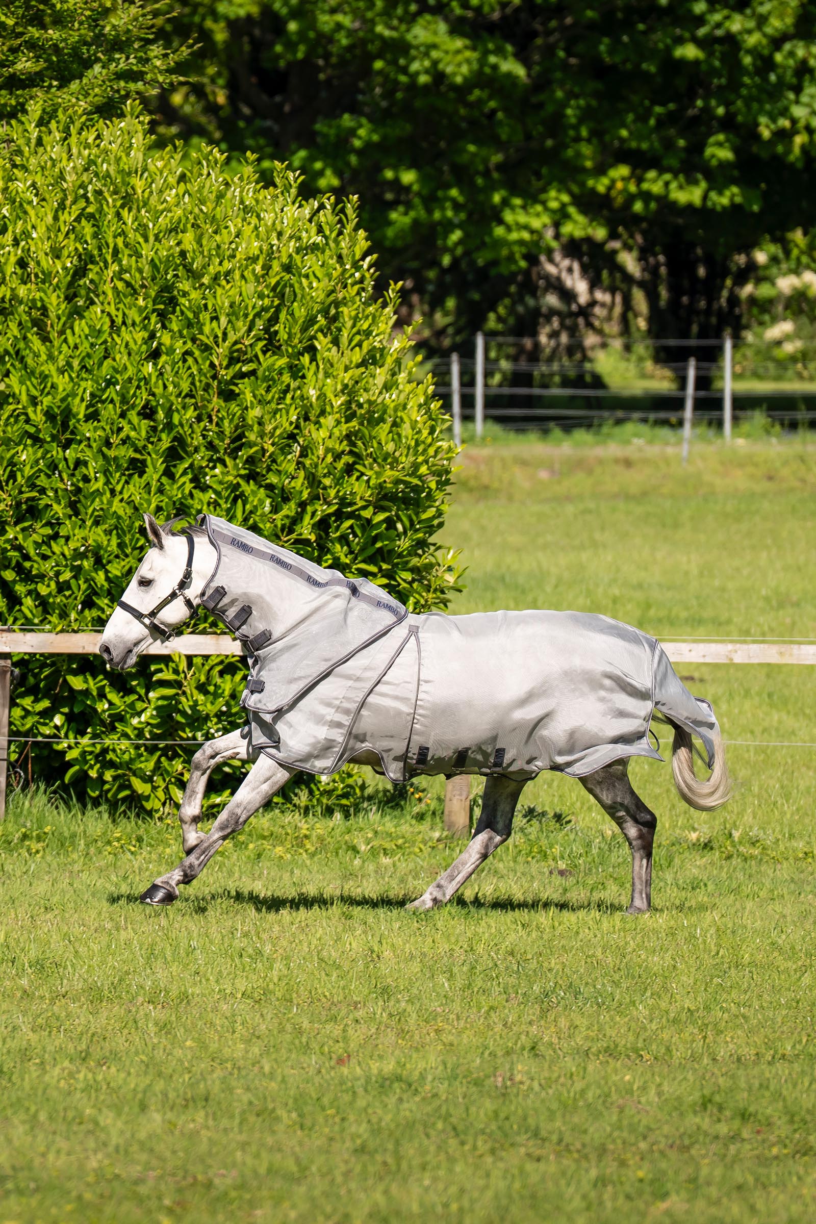 Horseware Rambo Optimo Protector Plus t&auml;cke