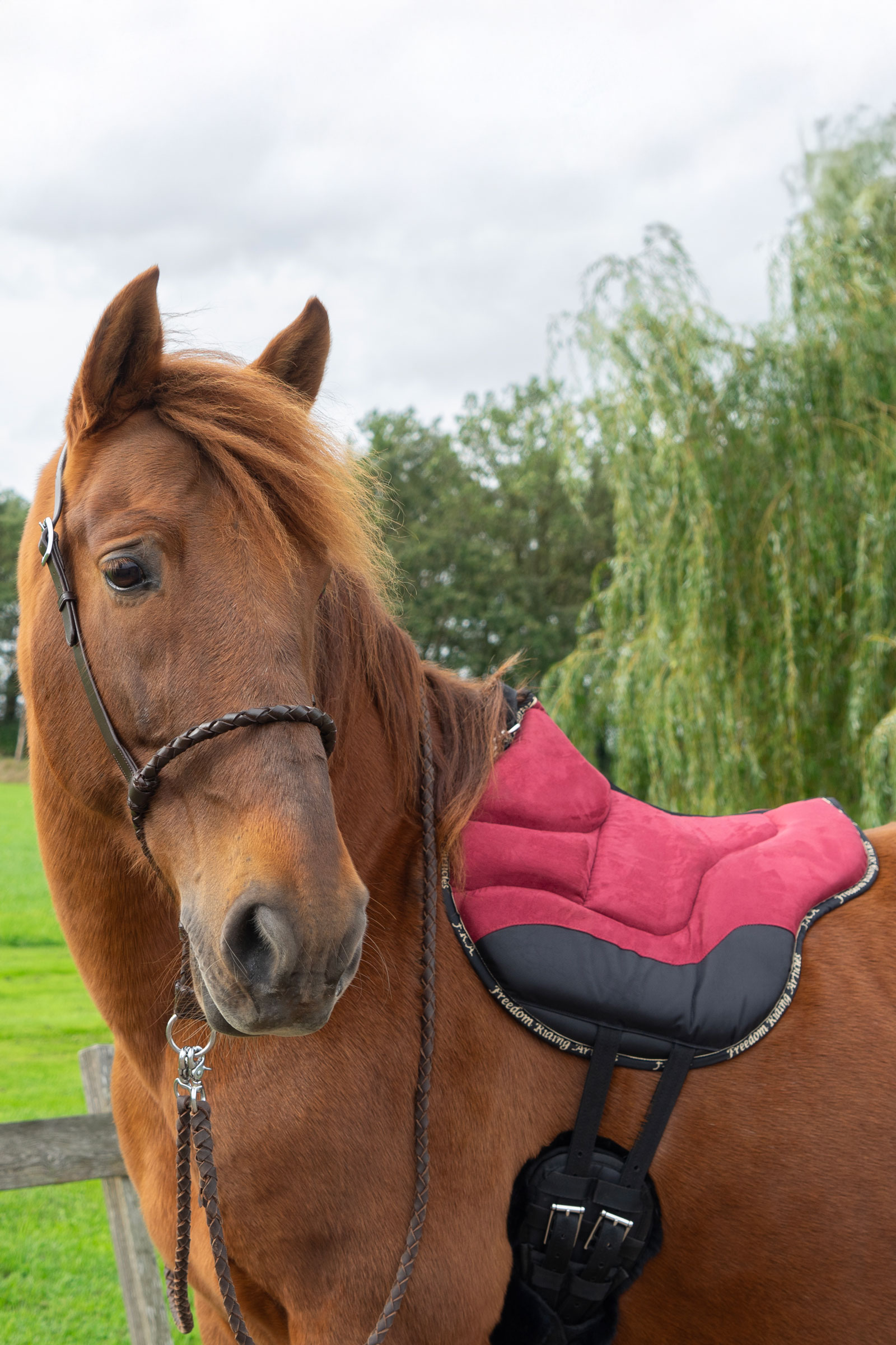 F.R.A. Freedom Riding Articles Dardo basic ridpad  