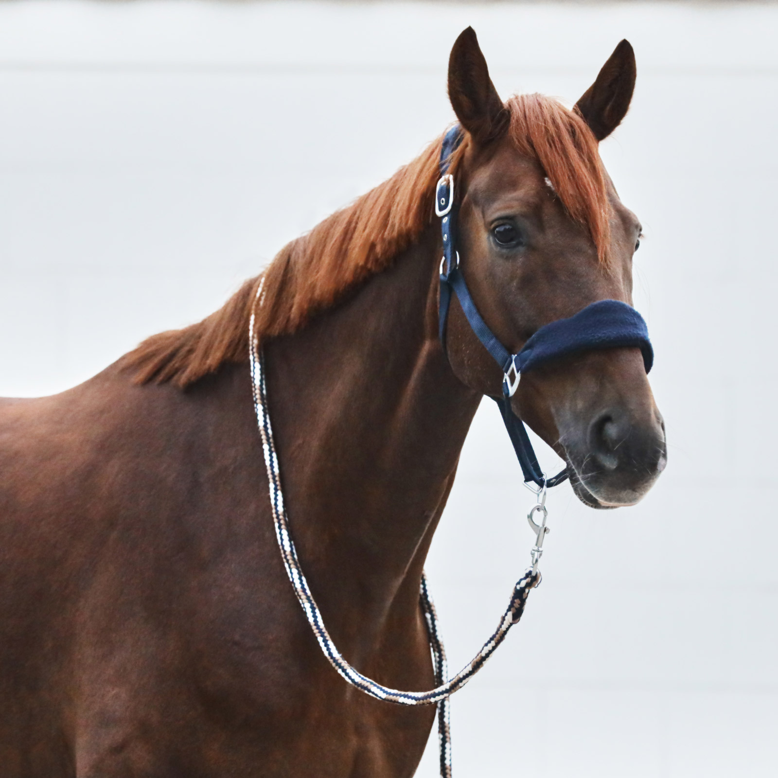 Horze Kiel Grimma med fleece