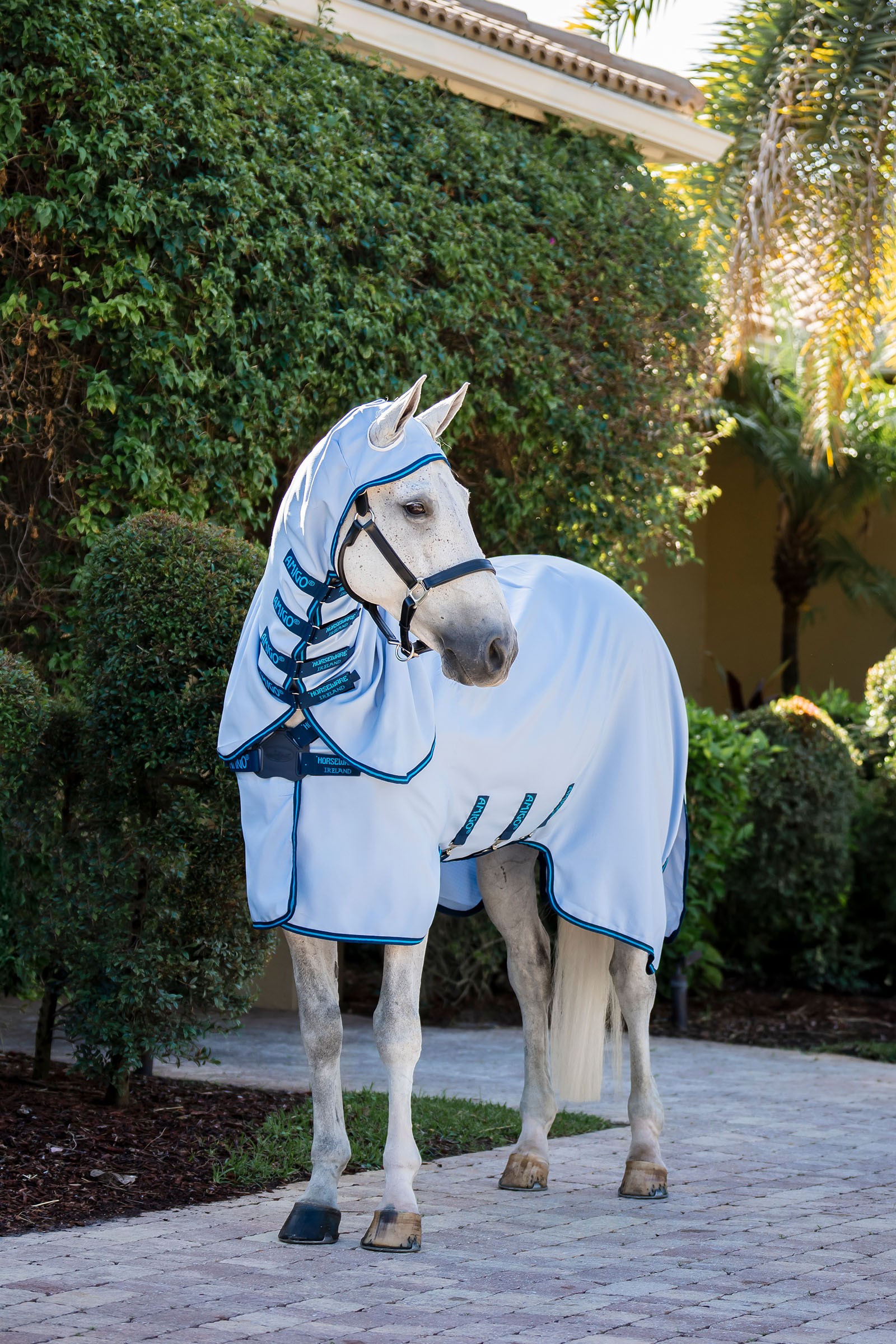 Horseware Amigo Ripstop Flugtäcke