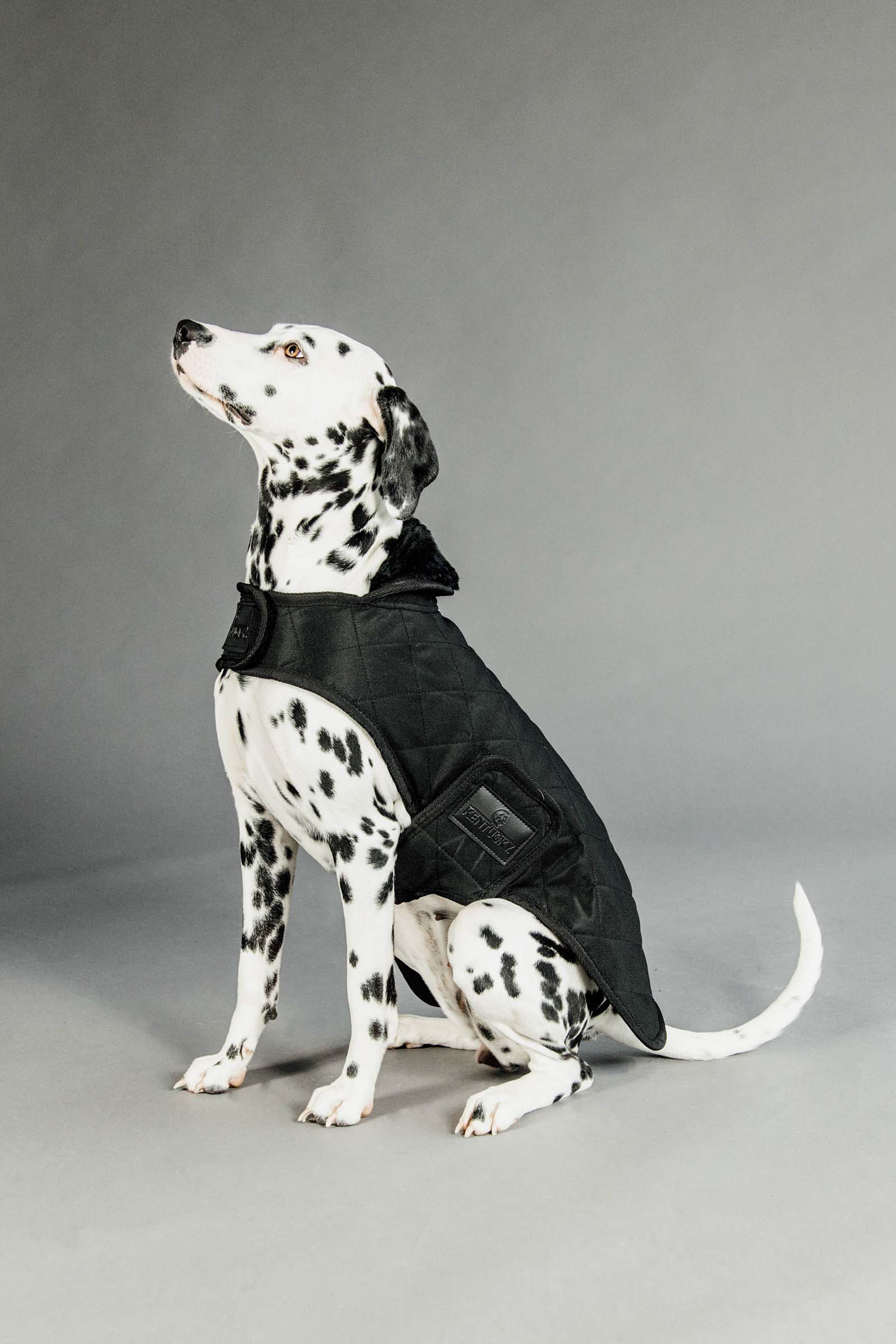 Black/Black Kentucky Dogwear hundtäcke