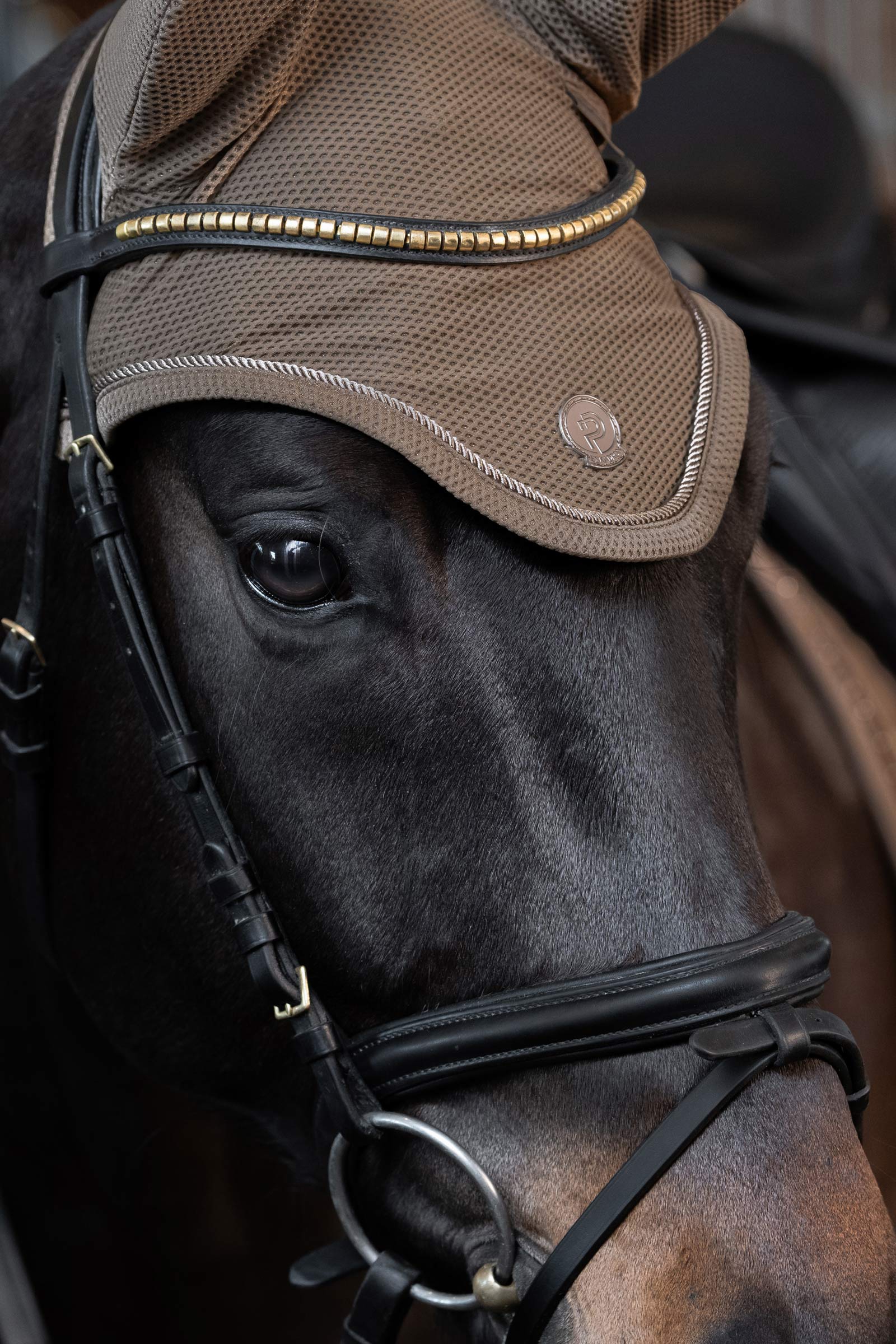 Eskadron Platinum 25 Dynair Mesh Sport flughuva