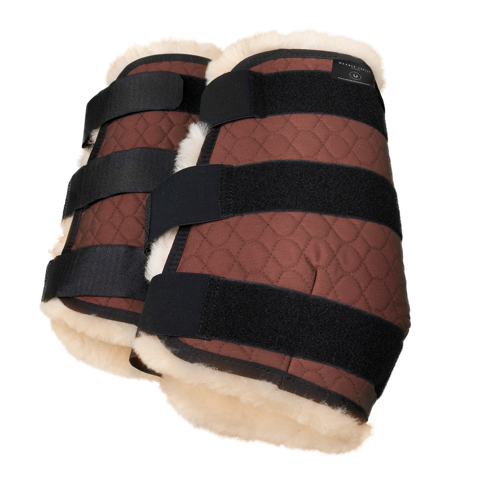 Christ Frambensskydd