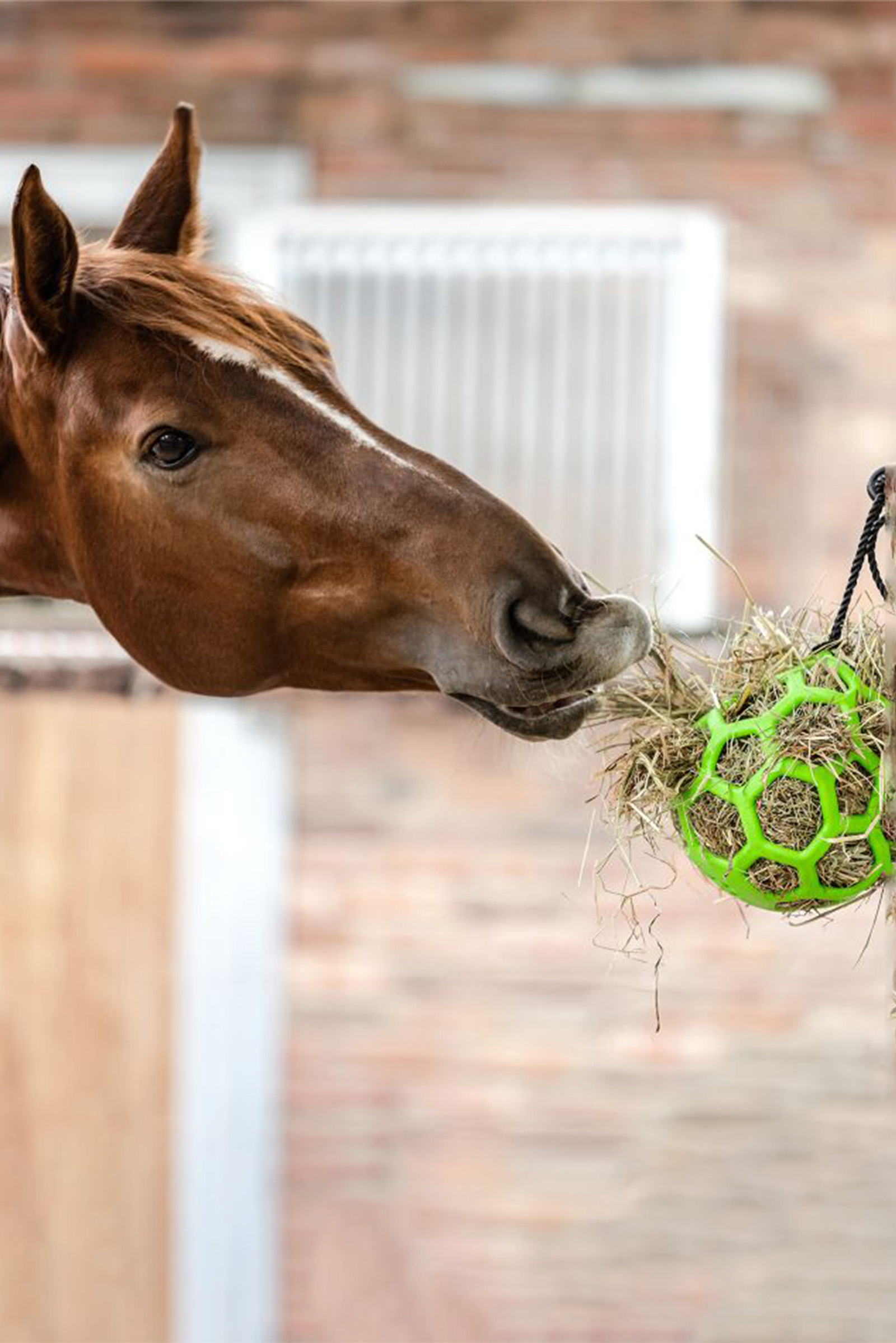 Waldhausen H&ouml;gaboll
