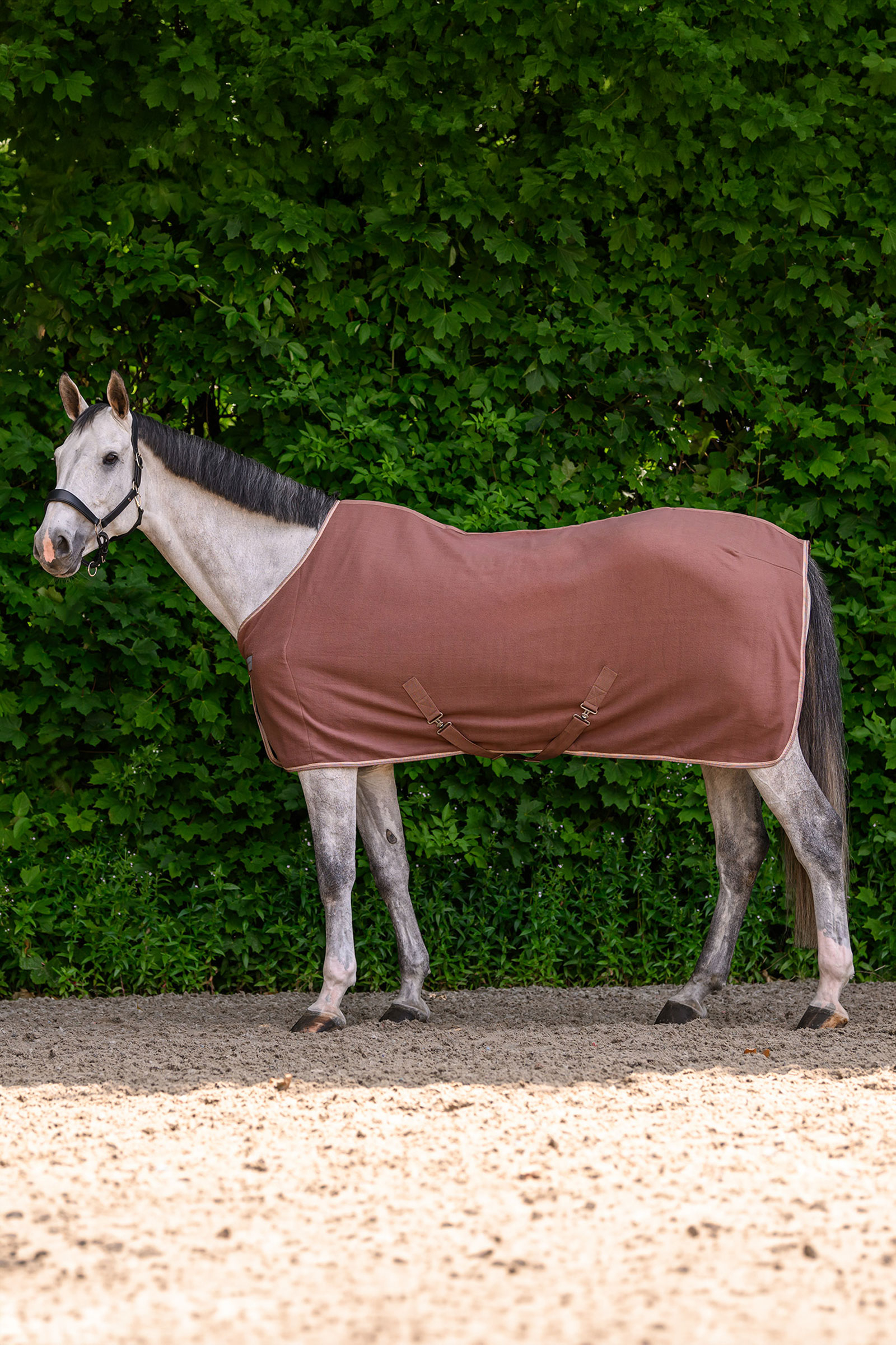 Mocca Waldhausen ECONOMIC fleecet&auml;cke med kryssgjordar