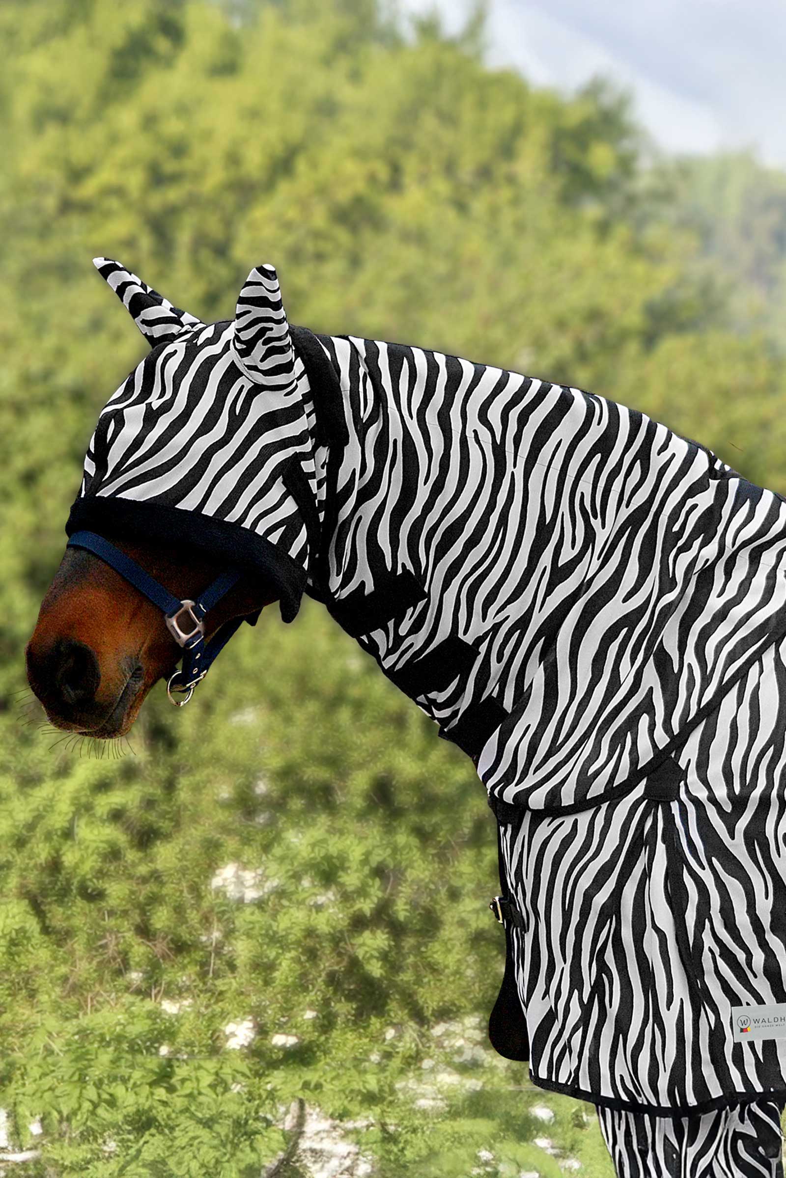 Waldhausen Zebra flughalsstycke