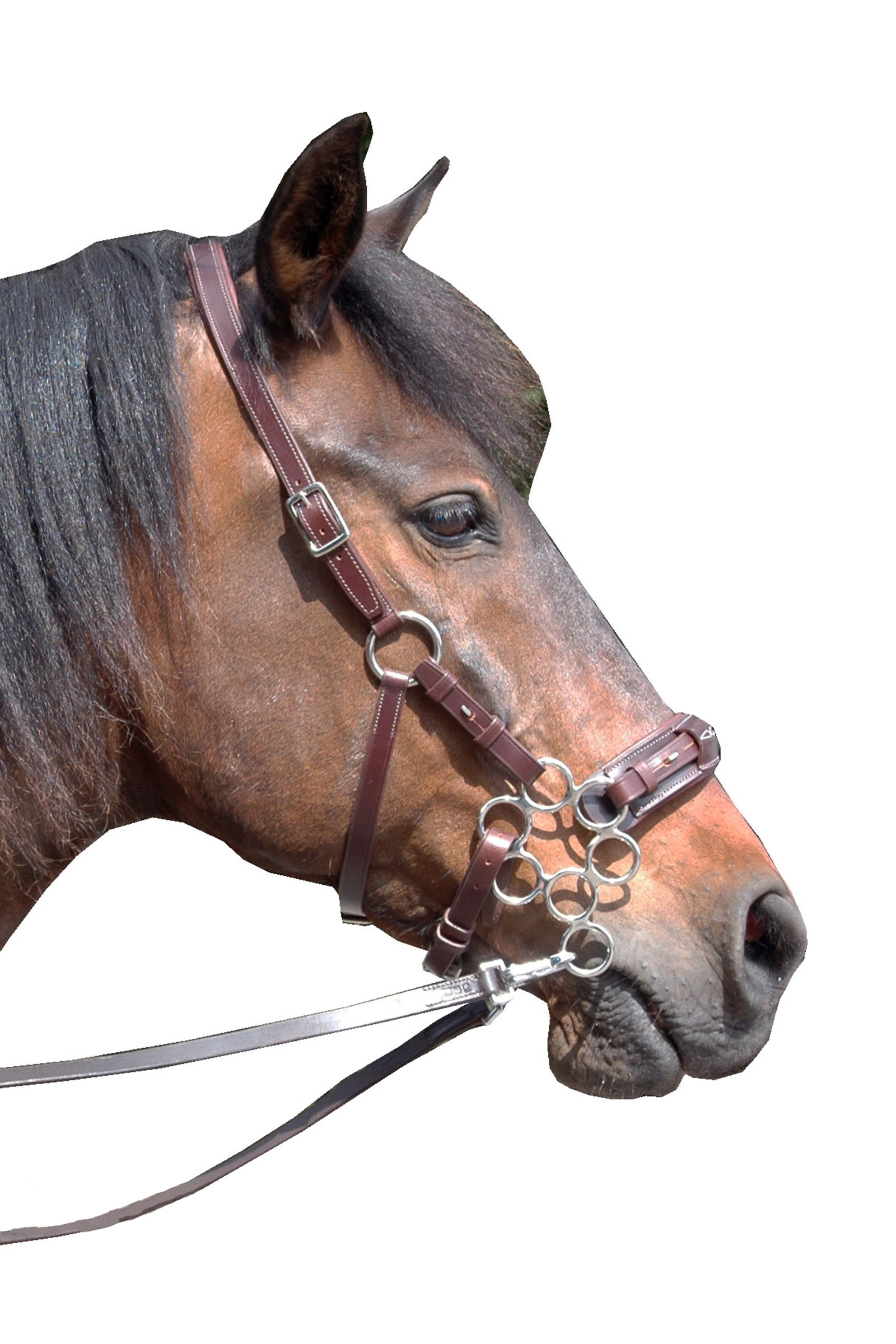 Dark Brown F.R.A. Freedom Riding Articles Aram hackamore (System 2) läder, käkrem och skänklar