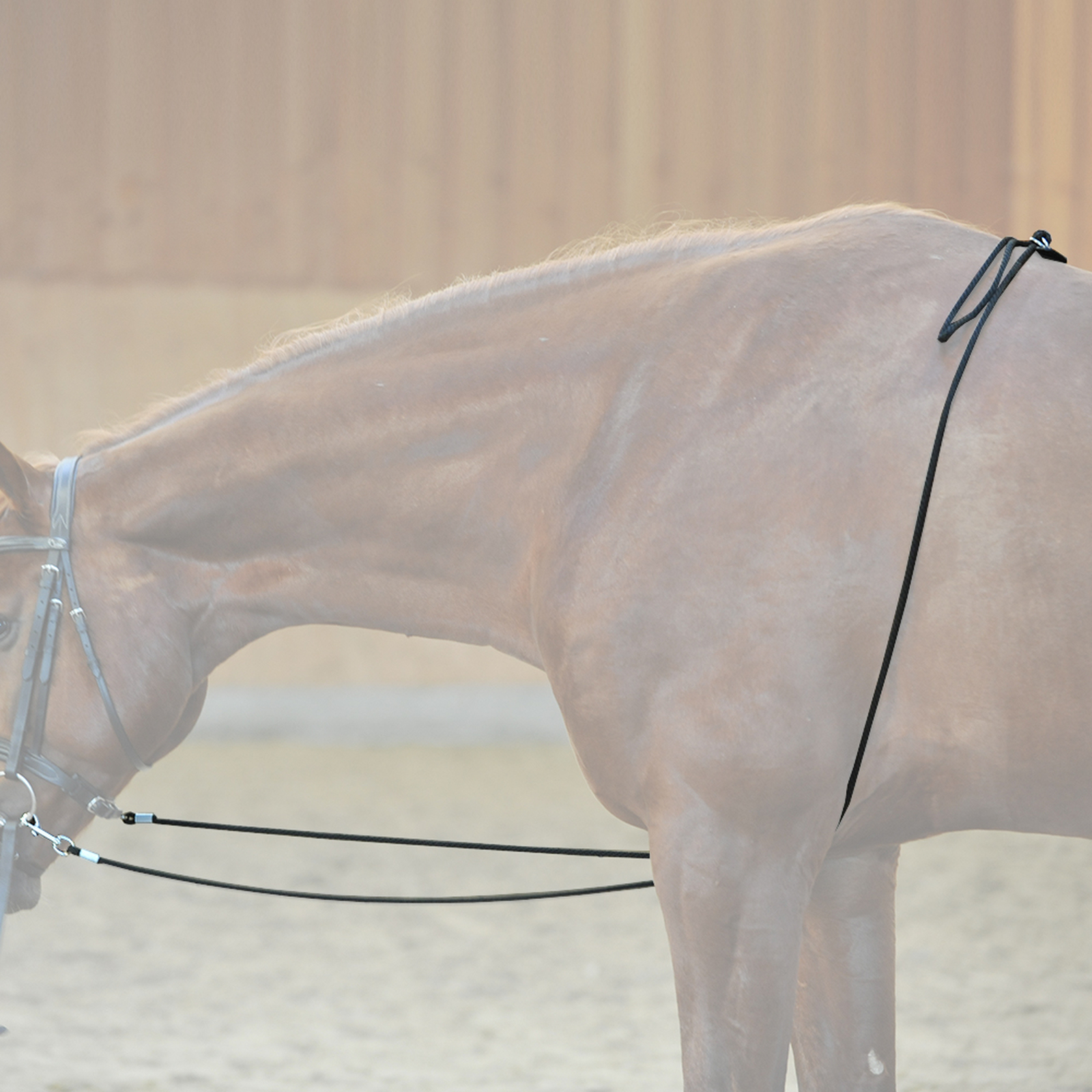 Kavalkade HO longerhjälp