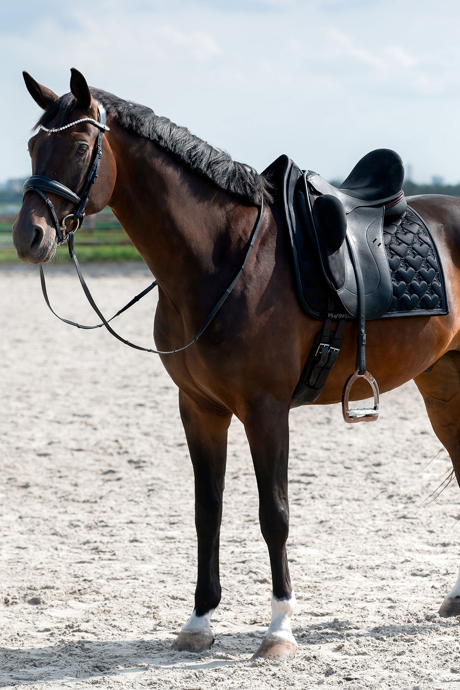 PS of Sweden Hj&auml;rta Dressyrschabrak