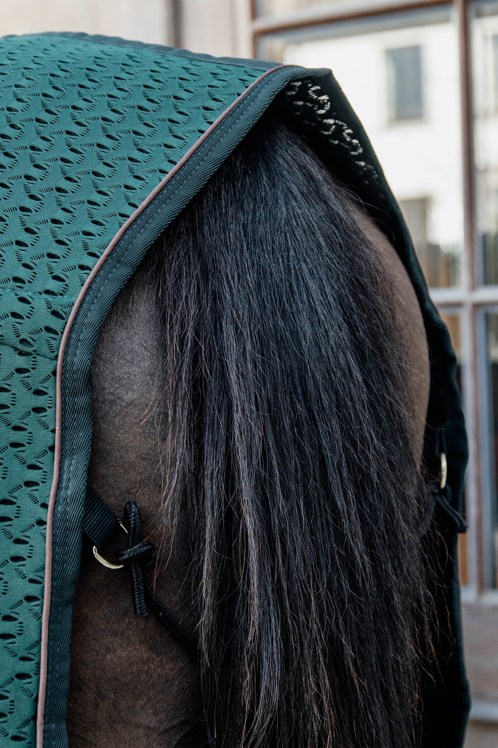 Kentucky Horsewear svettäcke i 4D Spacer-tyg