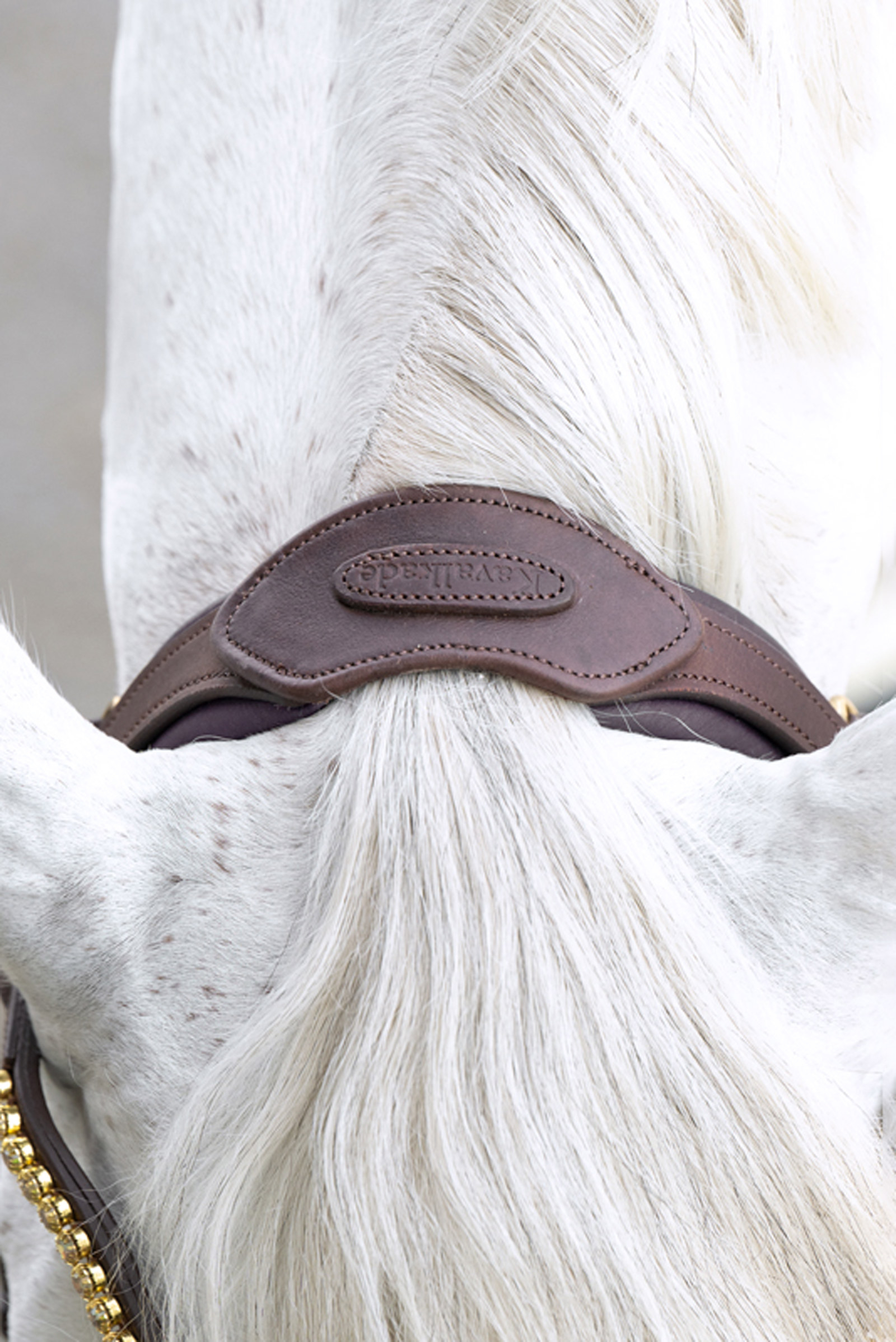 Kavalkade Caliano Engelsk Trense