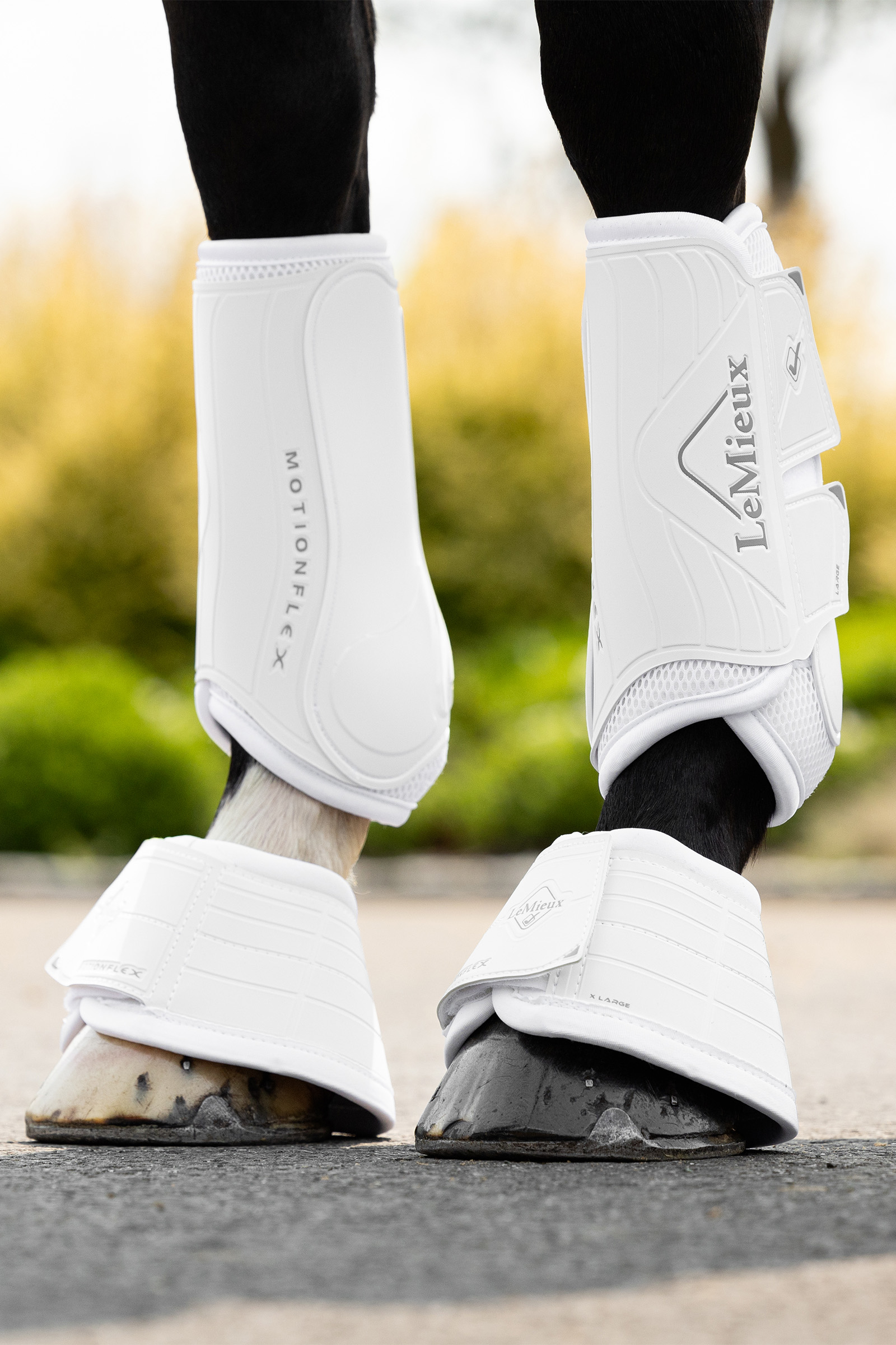 LeMieux Motionflex boots f&ouml;r h&auml;st