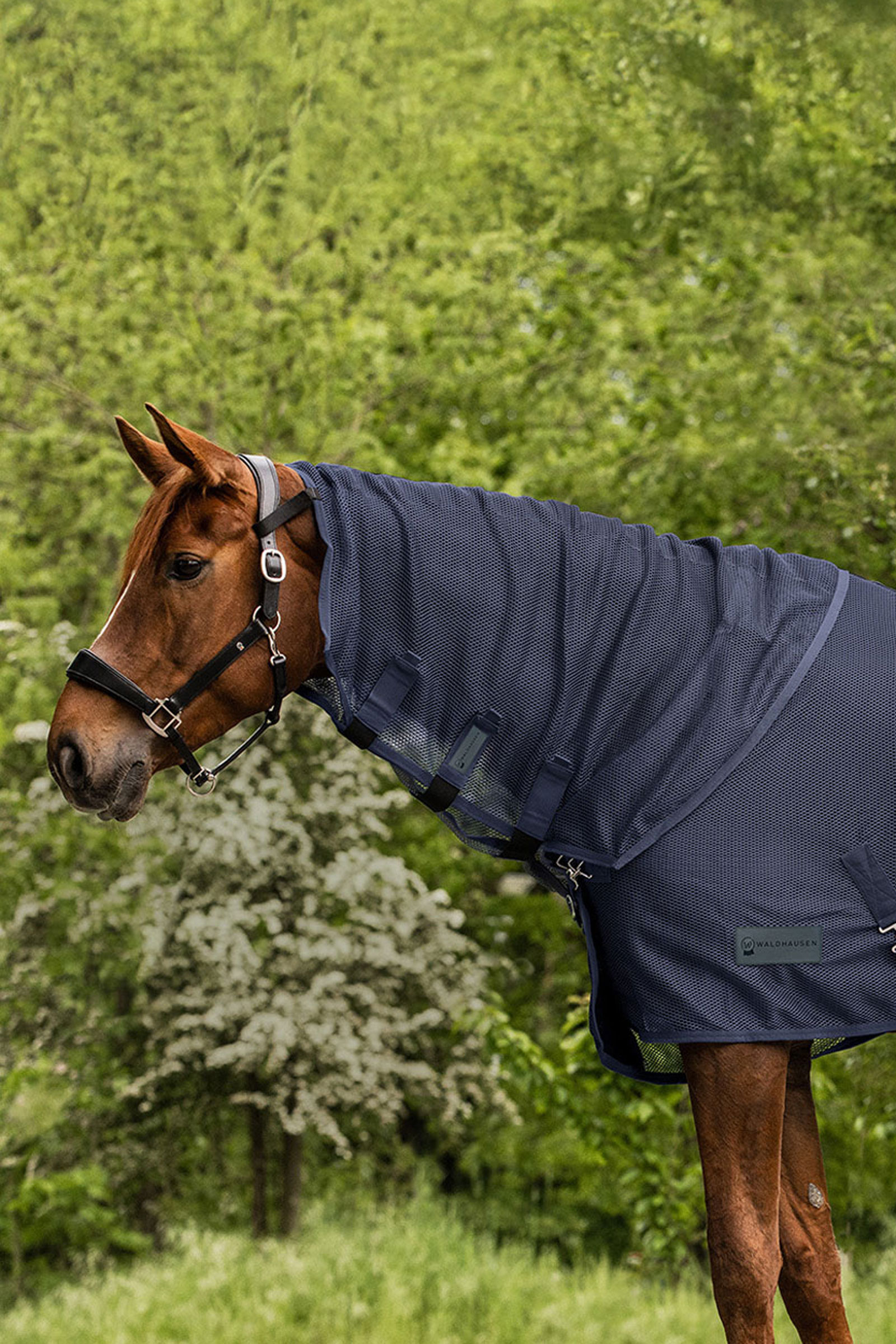 Night Blue Waldhausen Comfort flughalsdel