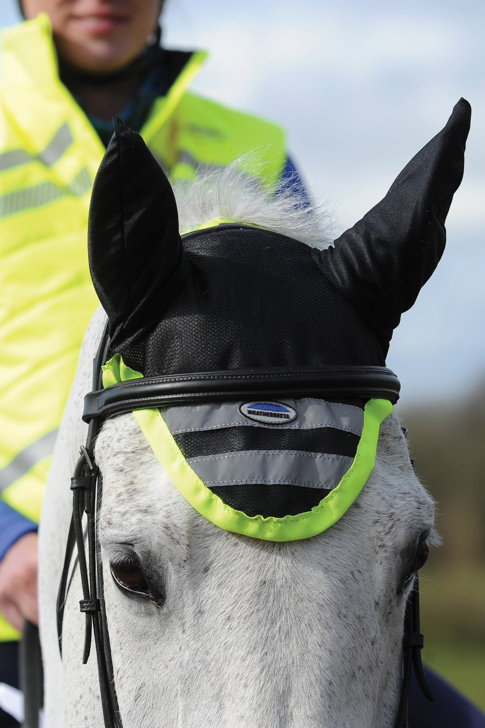 Weatherbeeta Reflective Ear Bonnet
