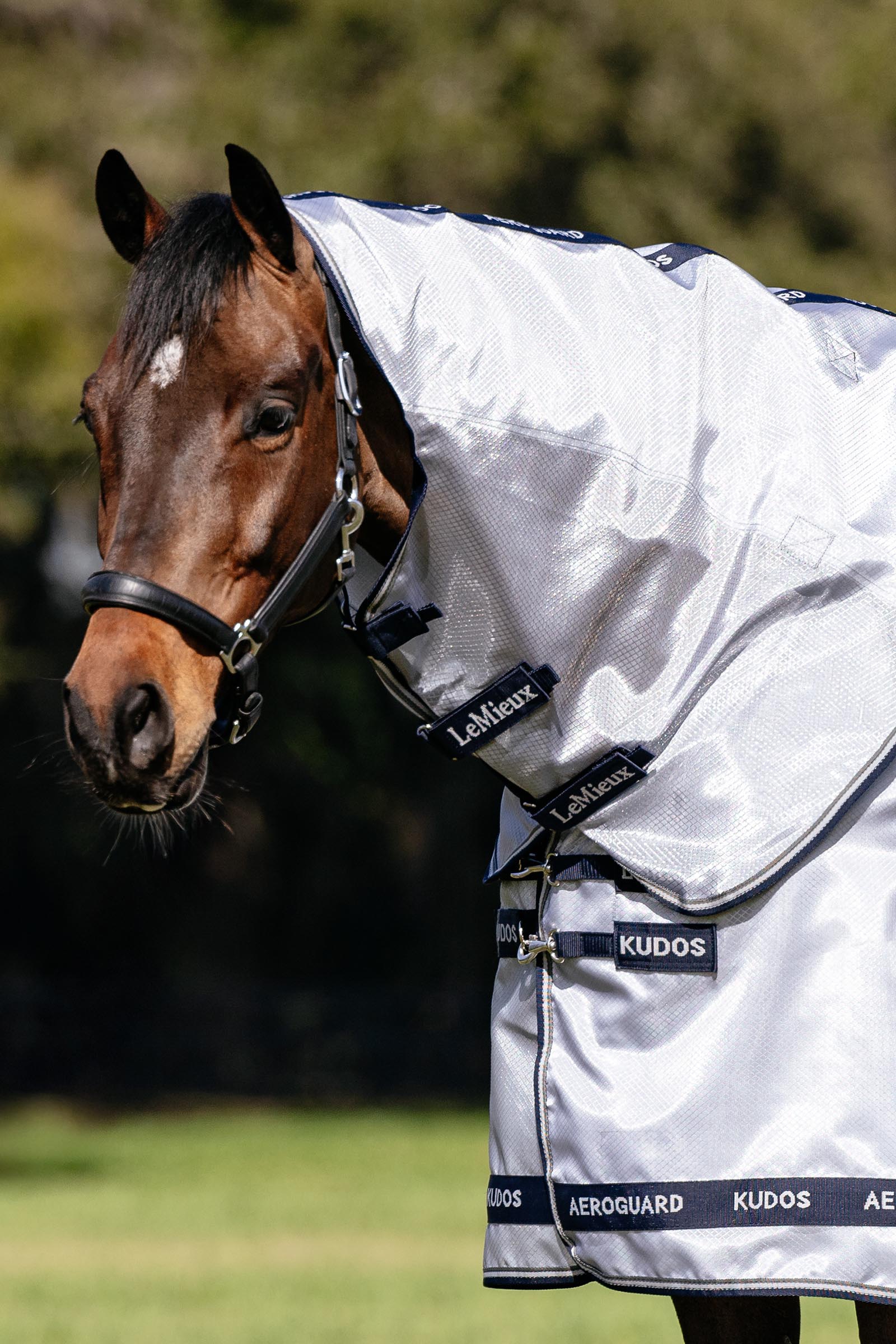 LeMieux Kudos AeroGuard flugt&auml;cke med avtagbar hals