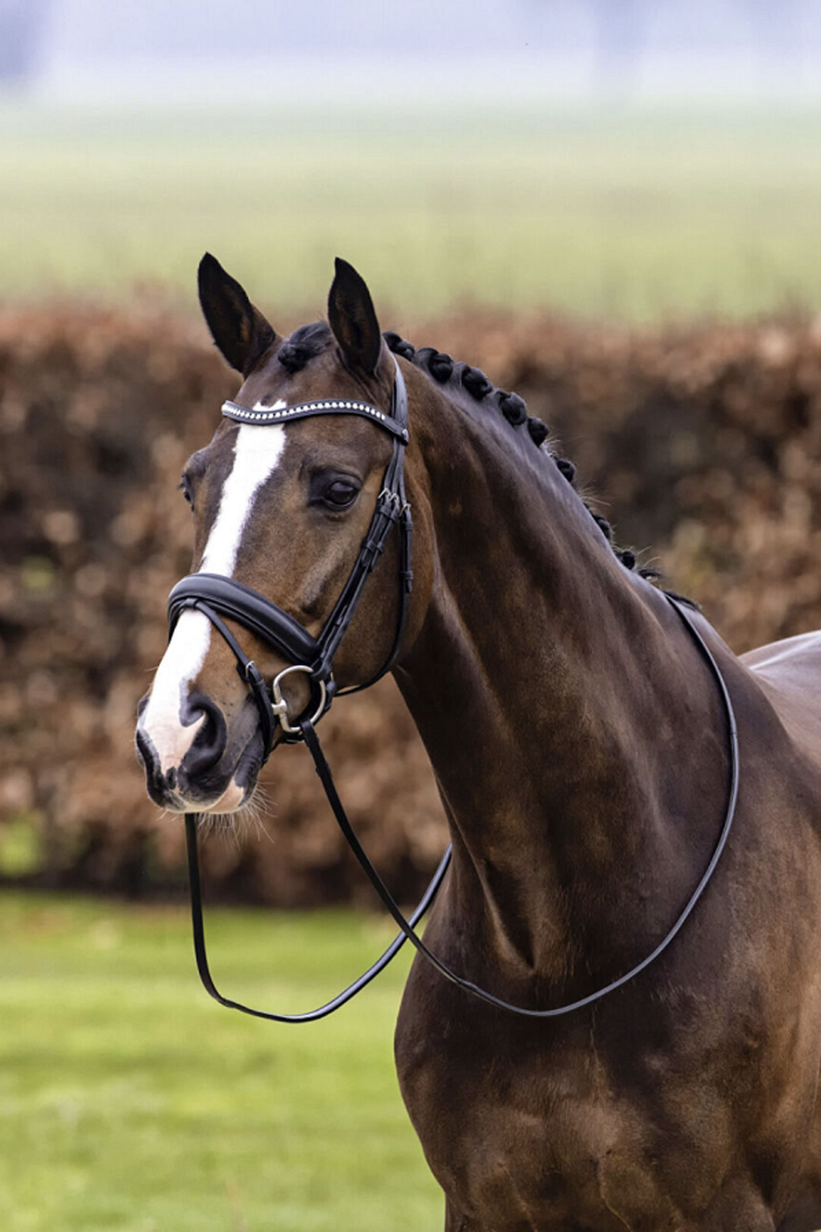 Trust Equestrian Verden Stor N&auml;sbygel med vev med Bridle