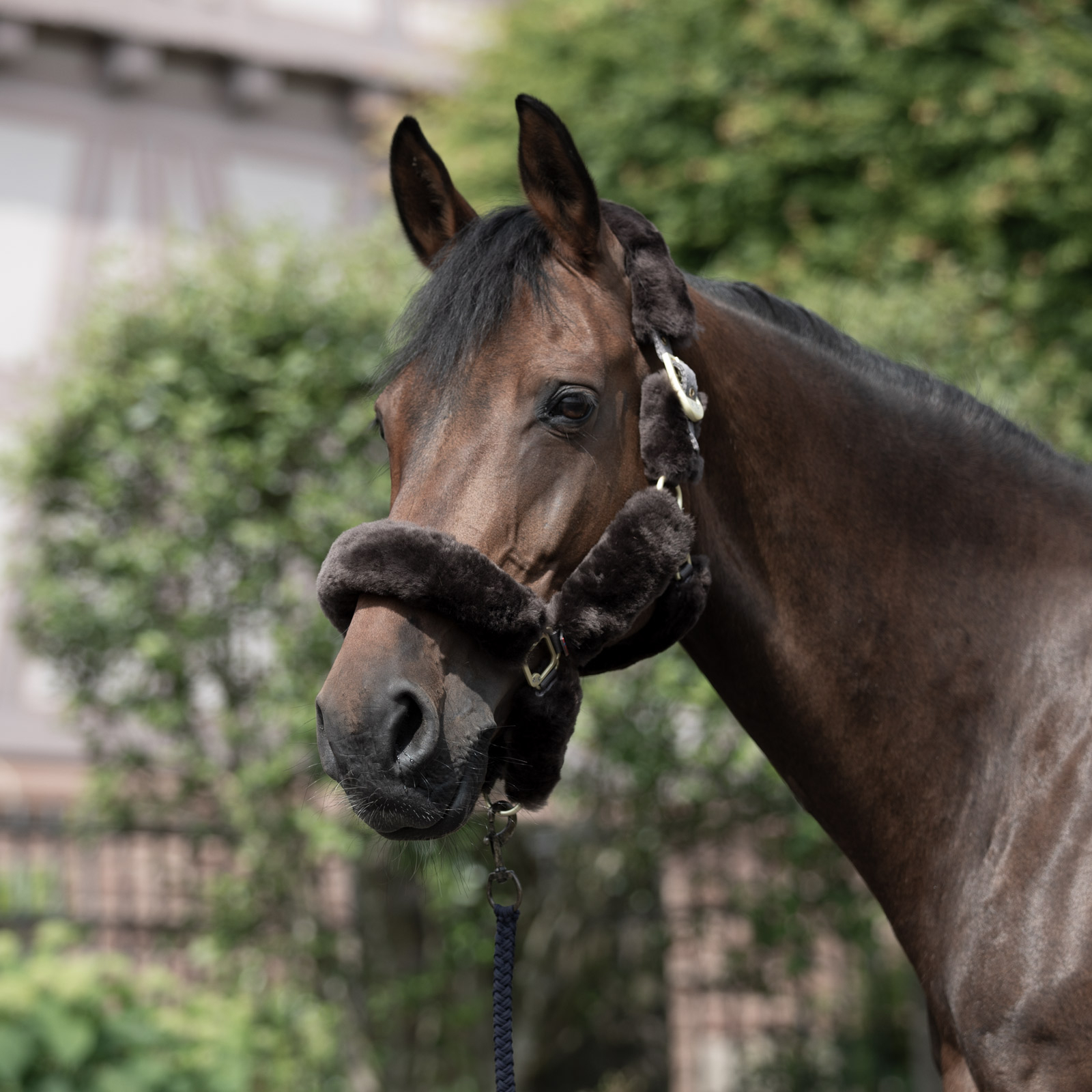 B Vertigo Tremblant grimma med f&aring;rskinn