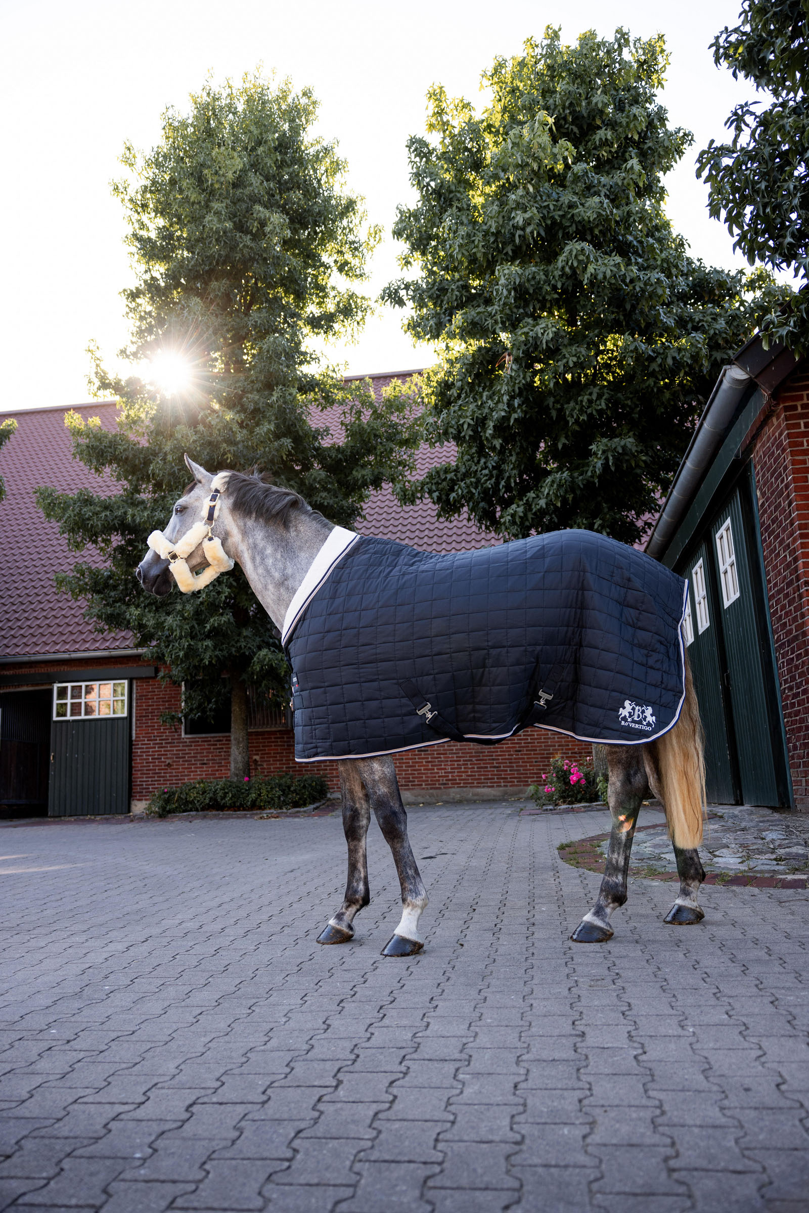 B Vertigo Theo Stallt&auml;cke, 150g