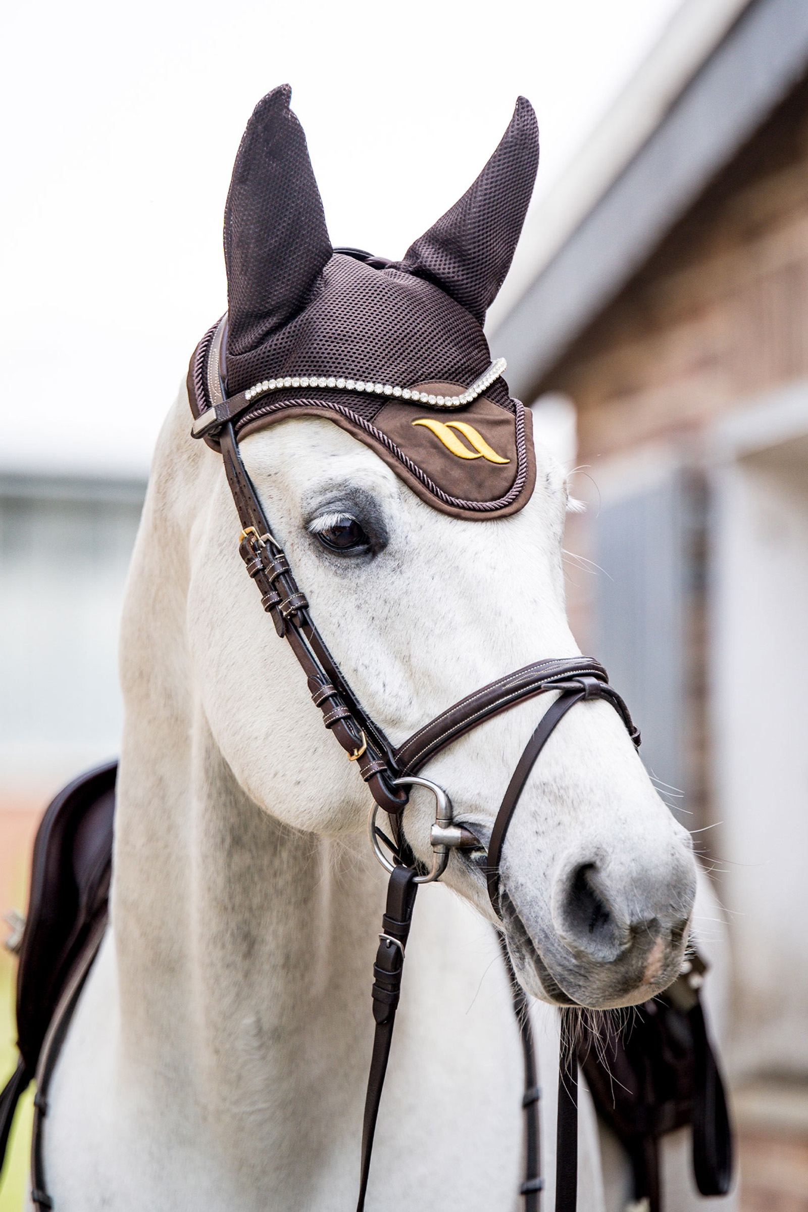 Back on Track Airflow flughuva