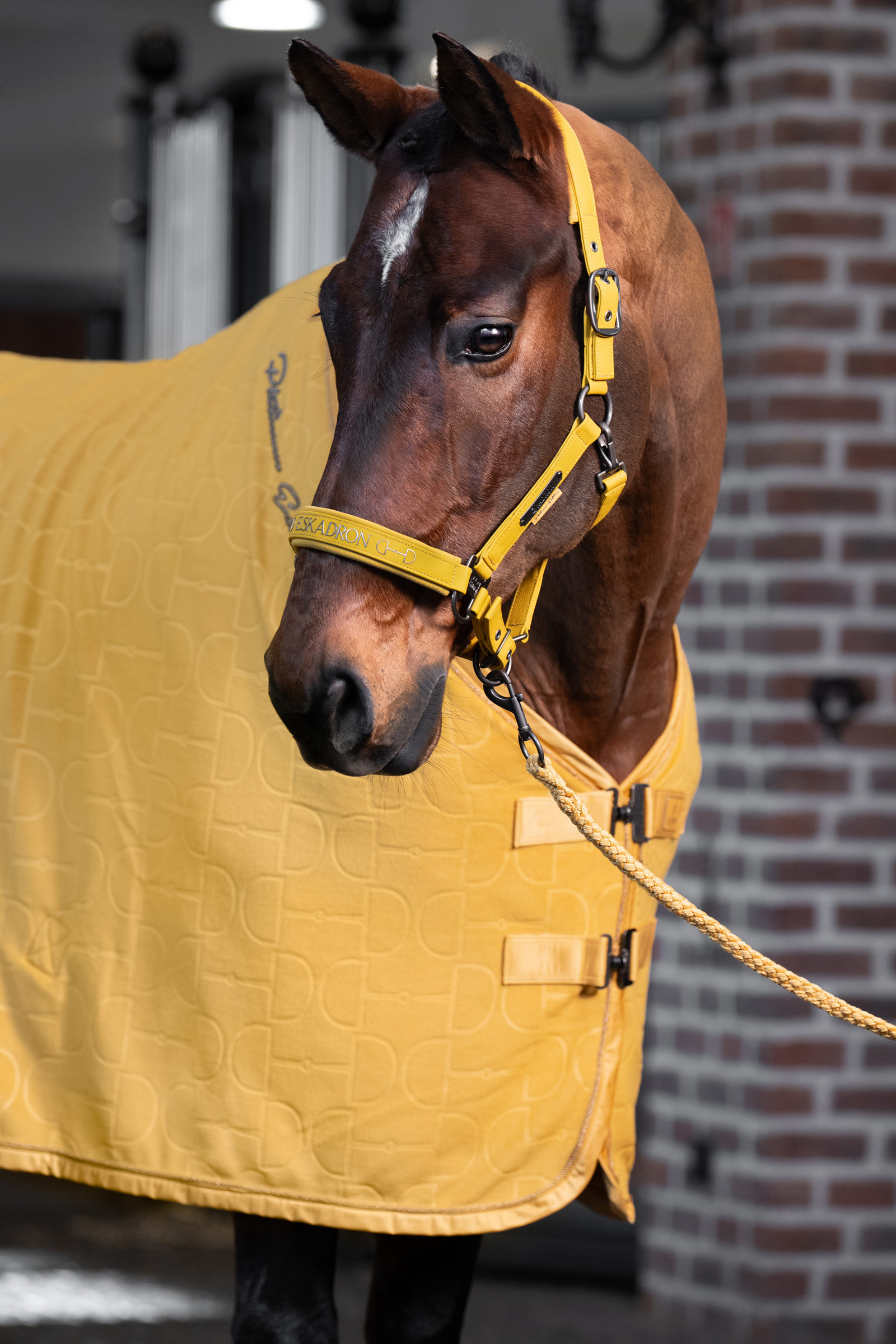 Eskadron Platinum 25 Dubbelpin grimma i konstl&auml;der