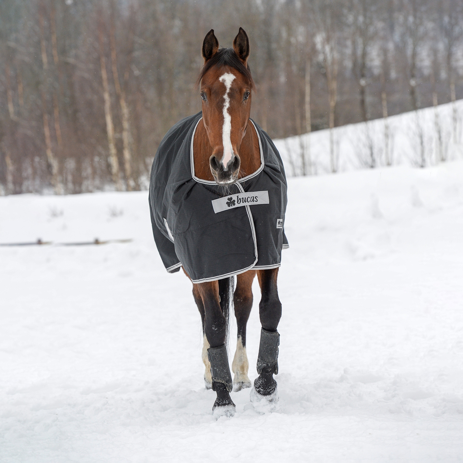 Bucas Anniversary Light SD Utetäcke, 150g