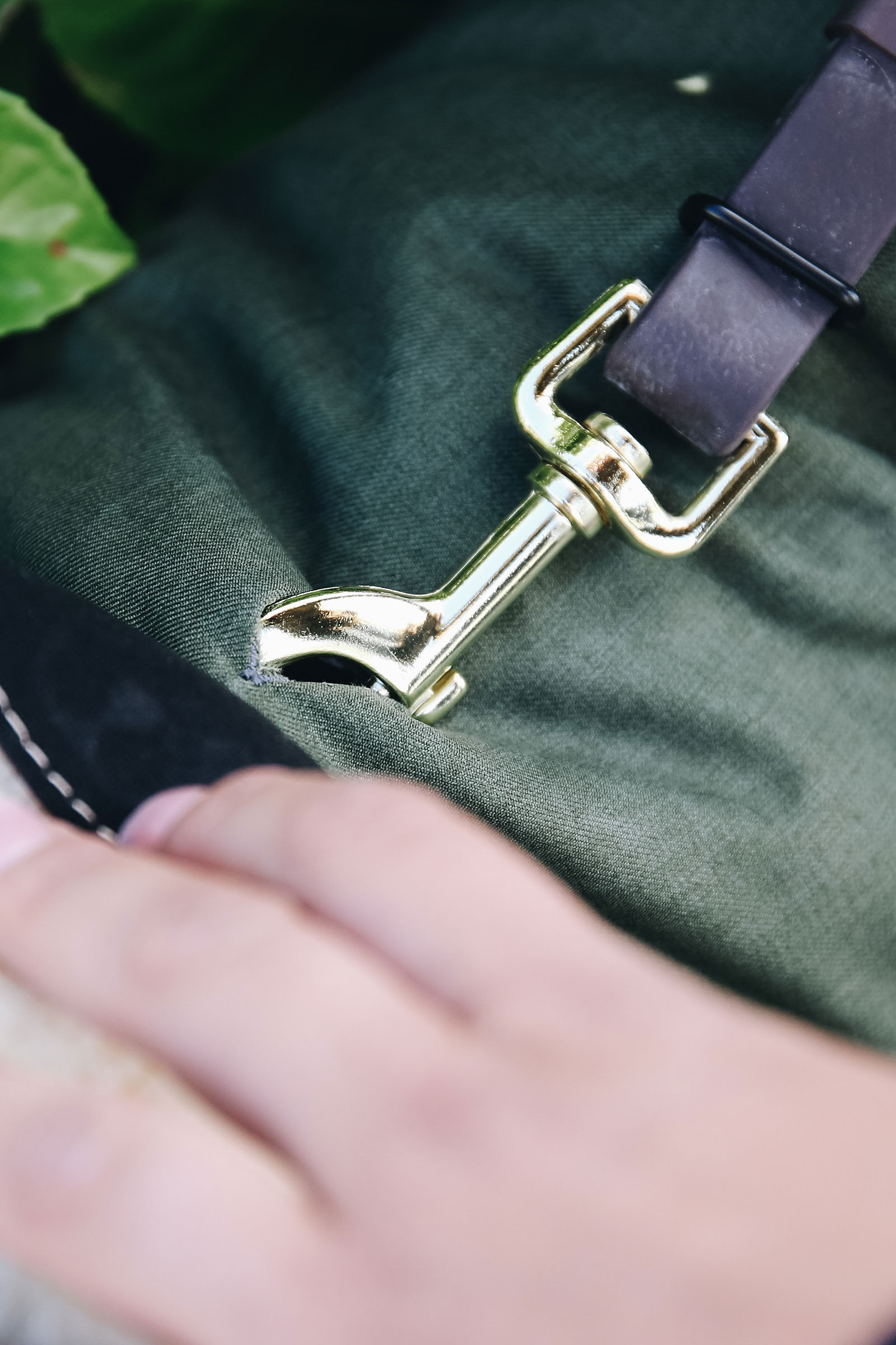 Kentucky Dogwear vattentätt hundtäcke