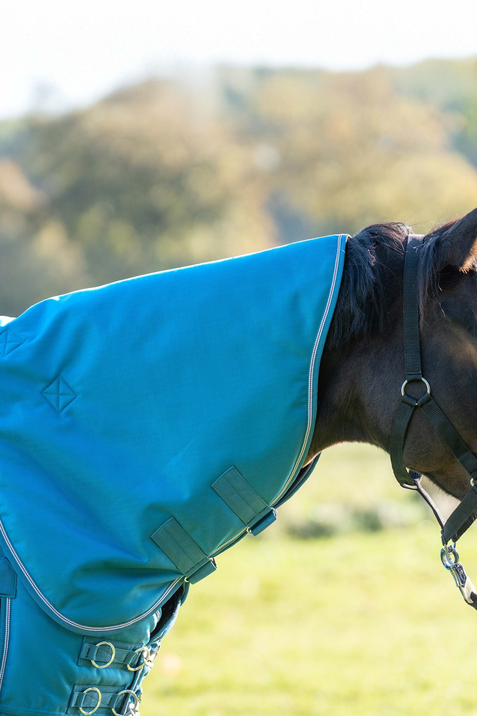Petrol/Petrol-Bordeaux-White Kavalkade Neck för Alaska IV Halstäcke, 100 g