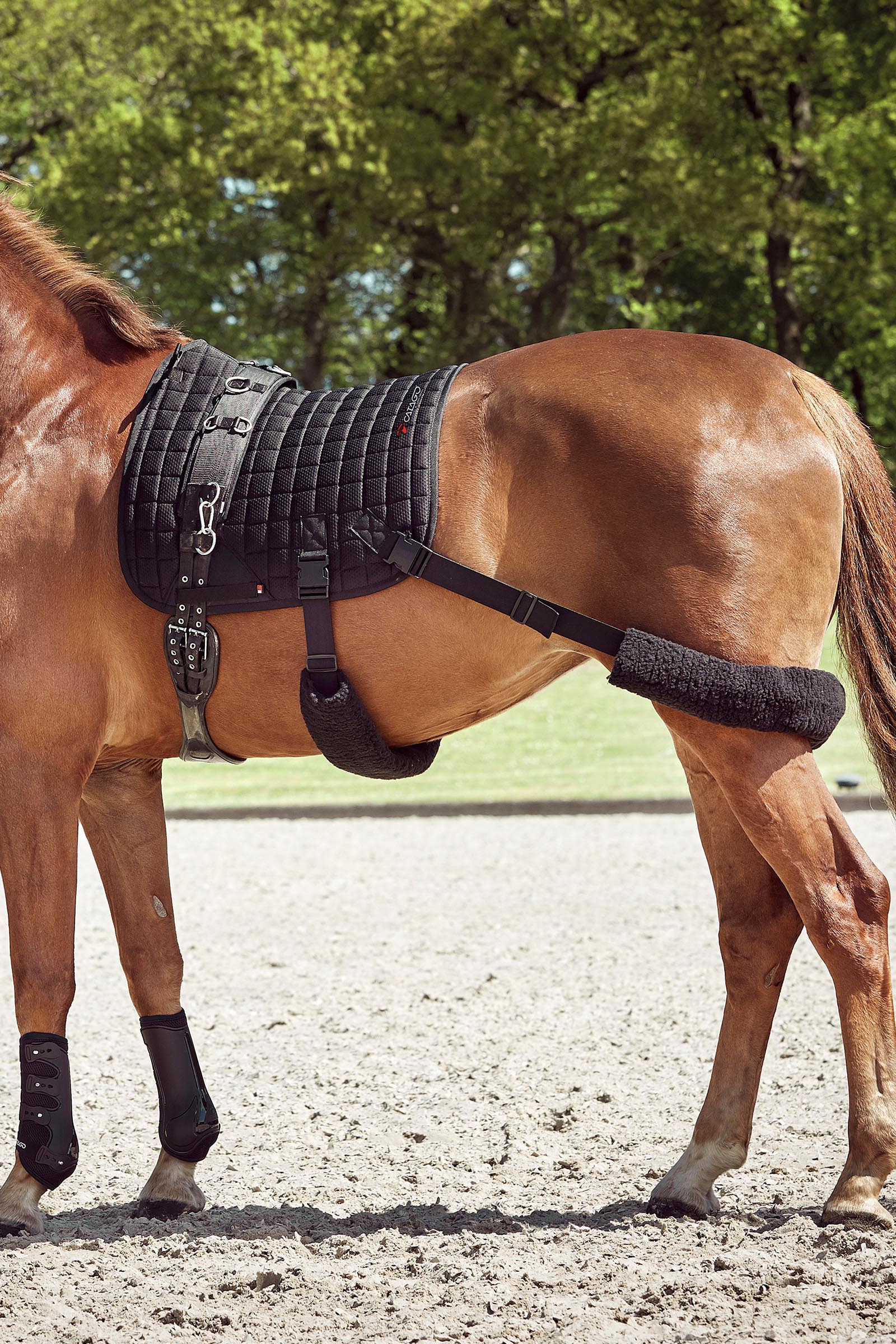 Catago FIR-Tech träningsschabrak med elastiska remmar