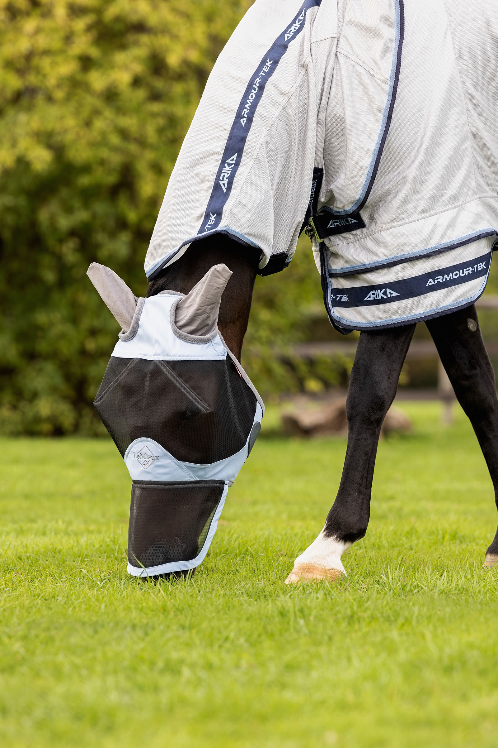 LeMieux Kudos Gladiator flugt&auml;cke