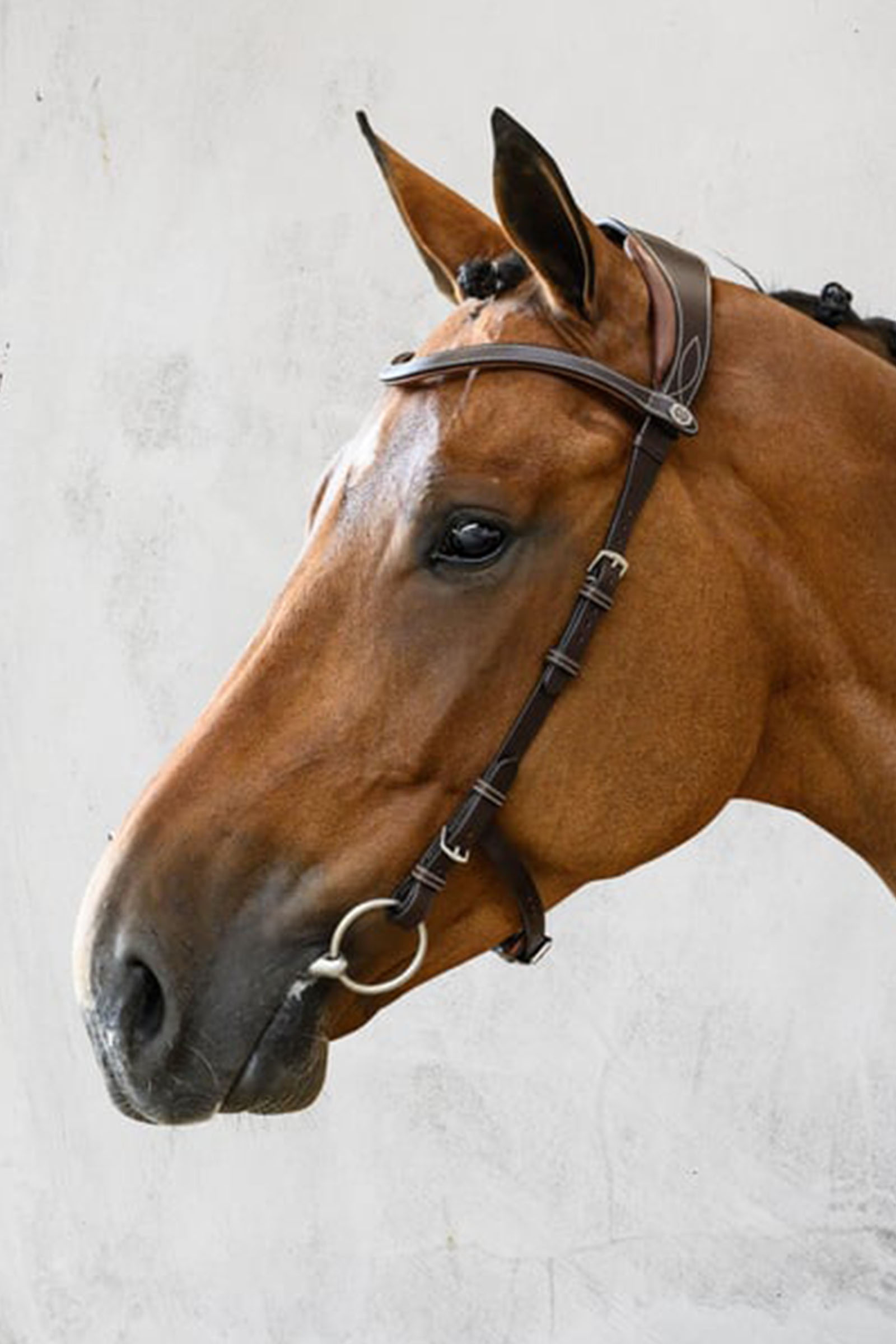 PS of Sweden Helsinki Träns