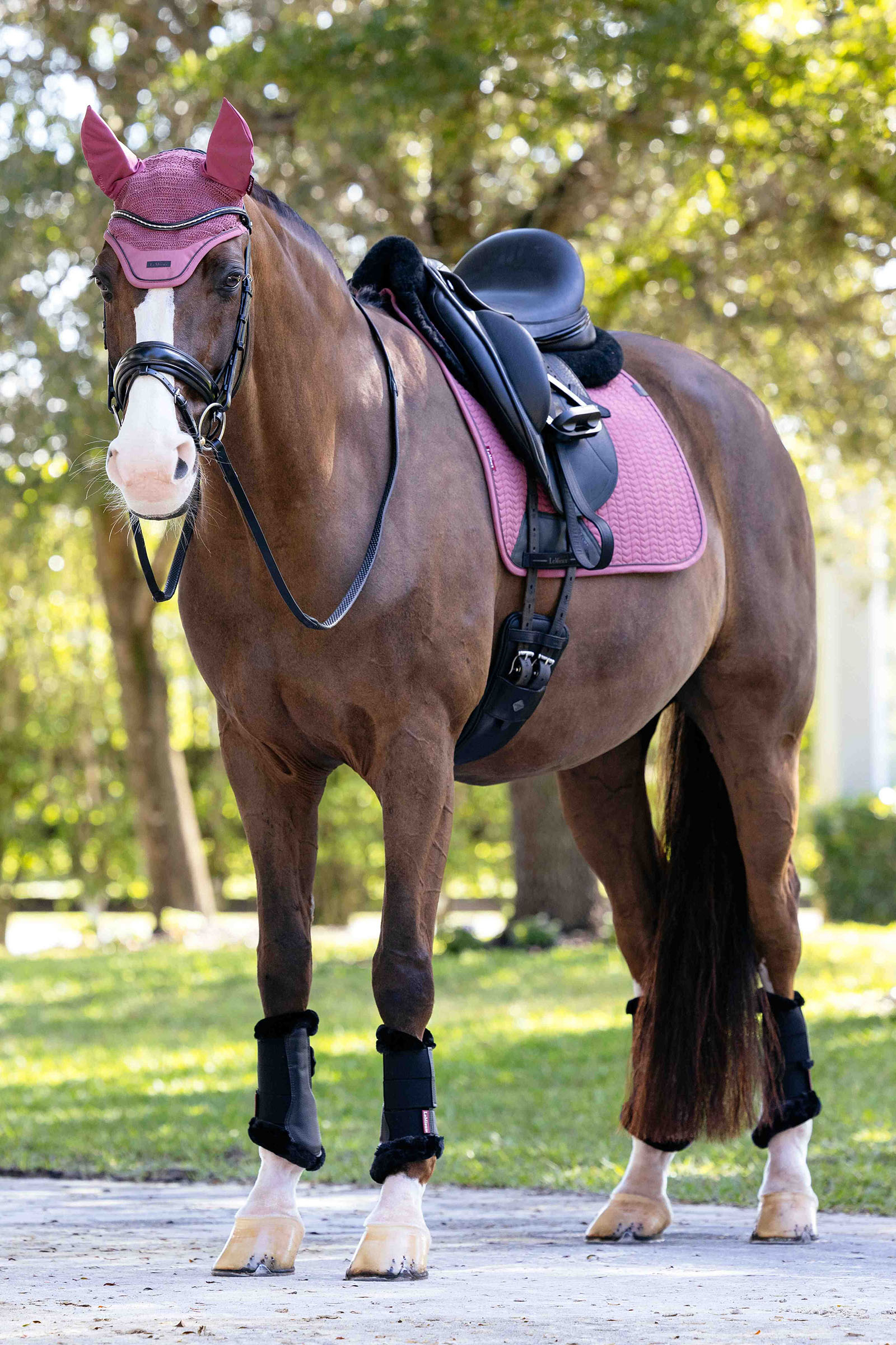 LeMieux Essence Dressyrschabrak