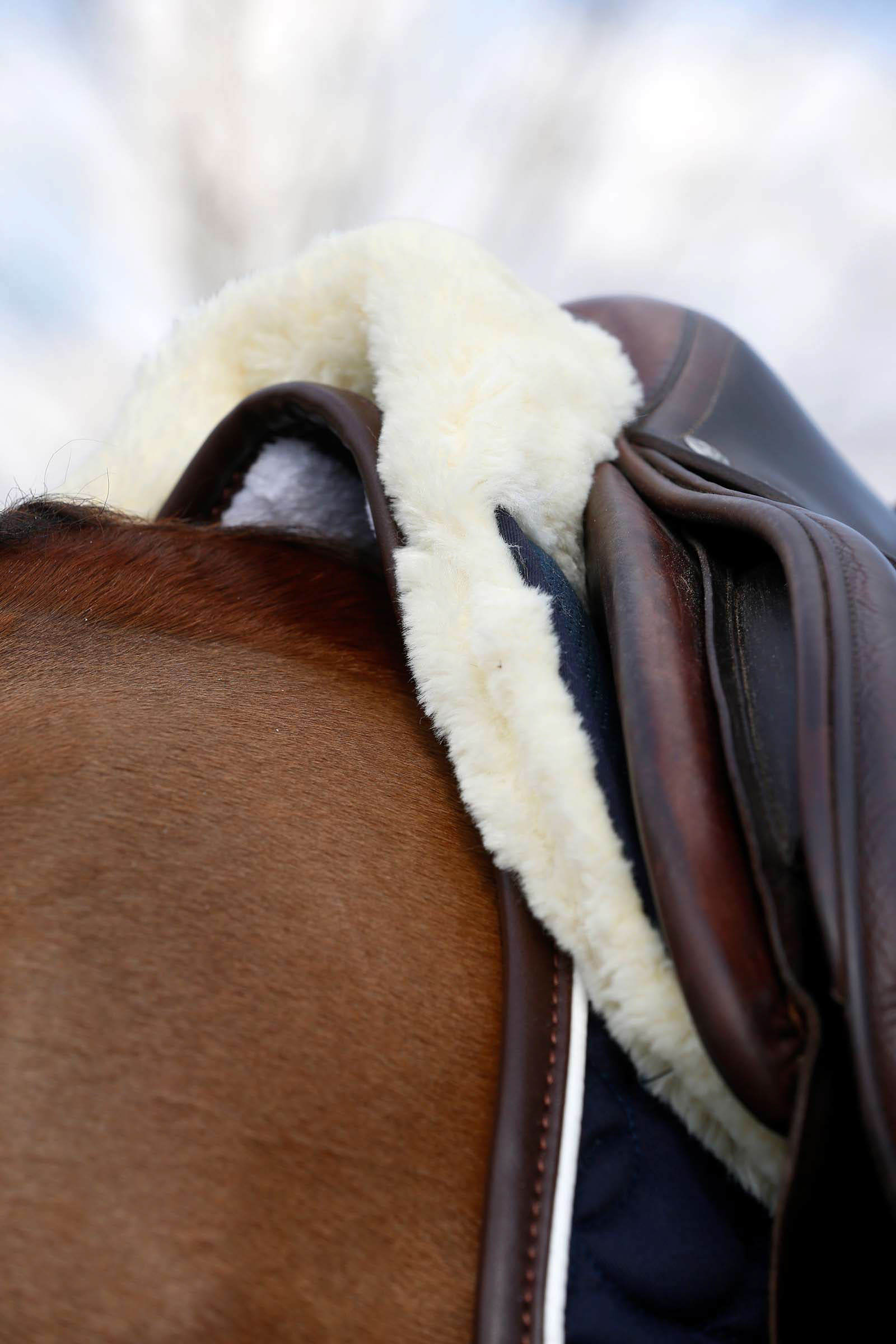 Kentucky Horsewear fårskinnspad Absorb