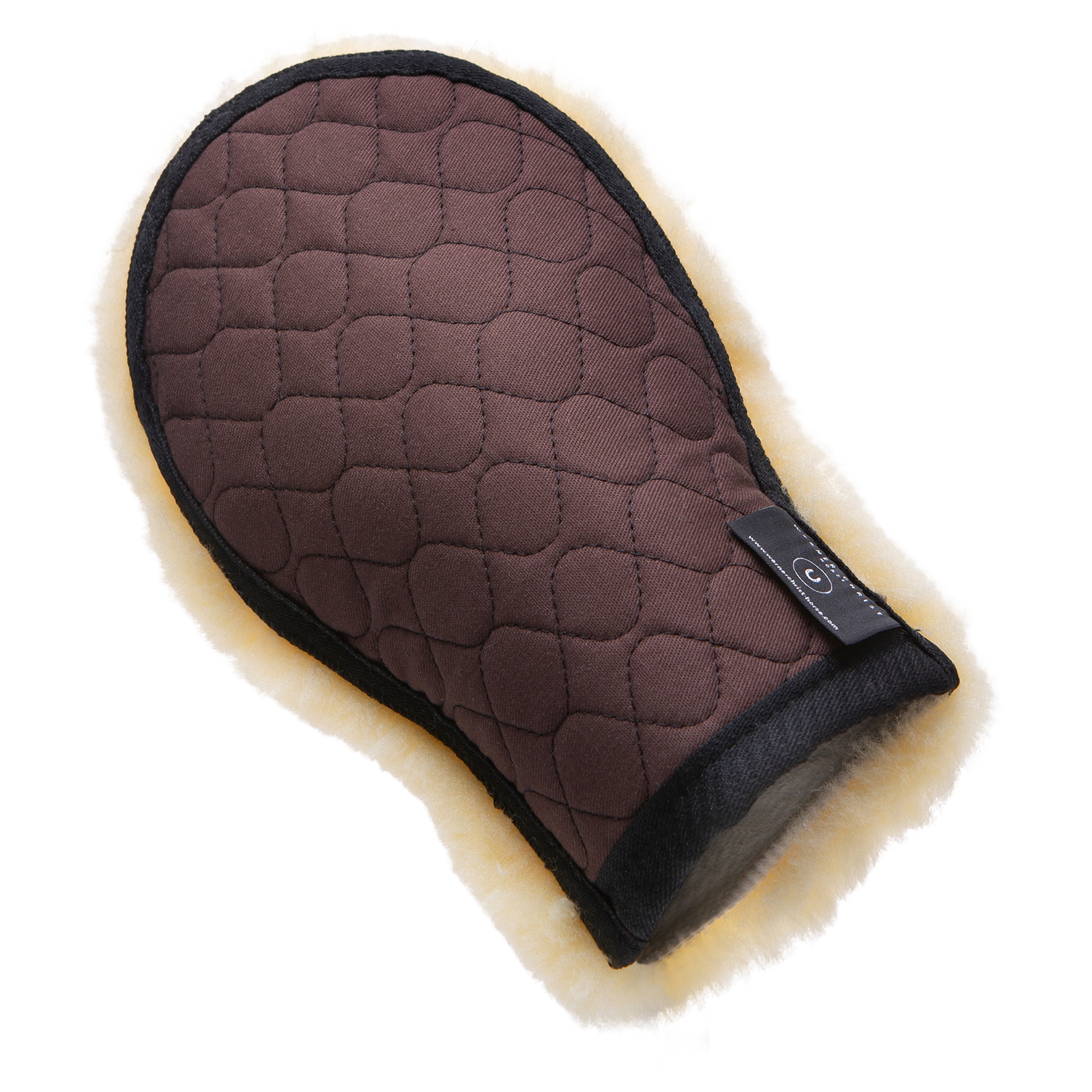 Christ Universal putsvante