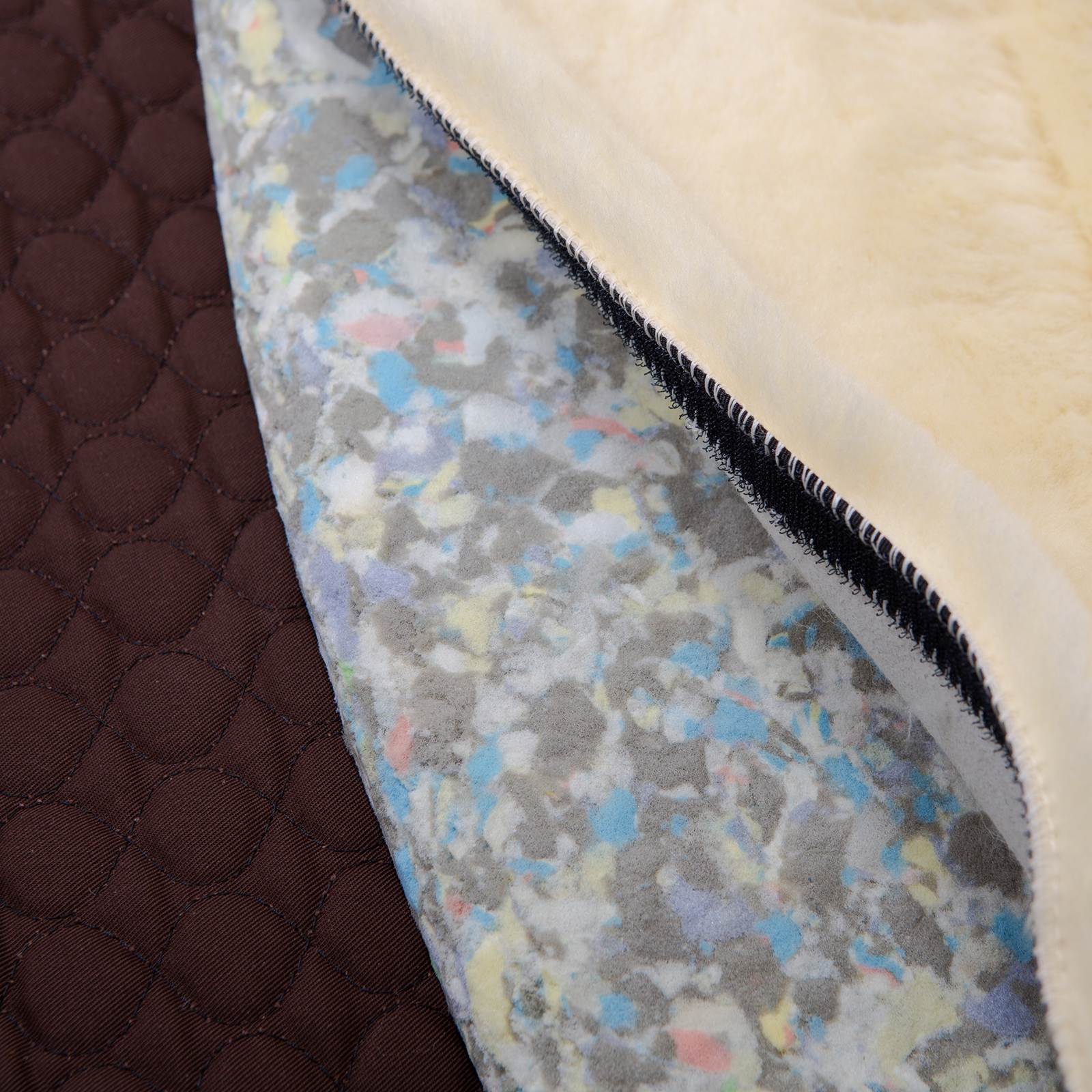 Christ SD Champ för Iberica Plus