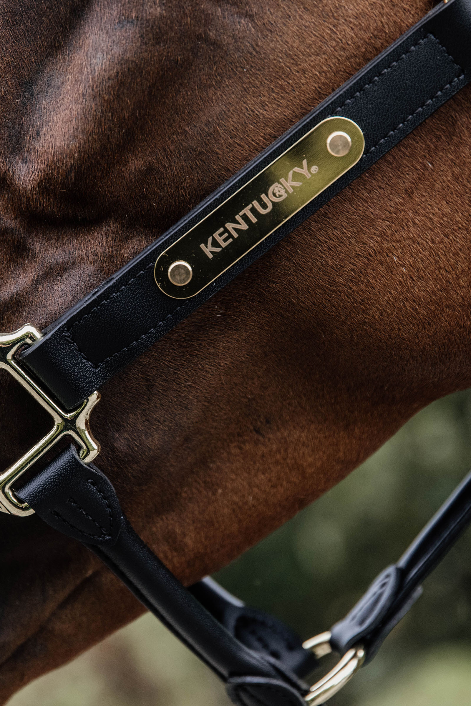 Kentucky Horsewear anatomisk lädergrimma