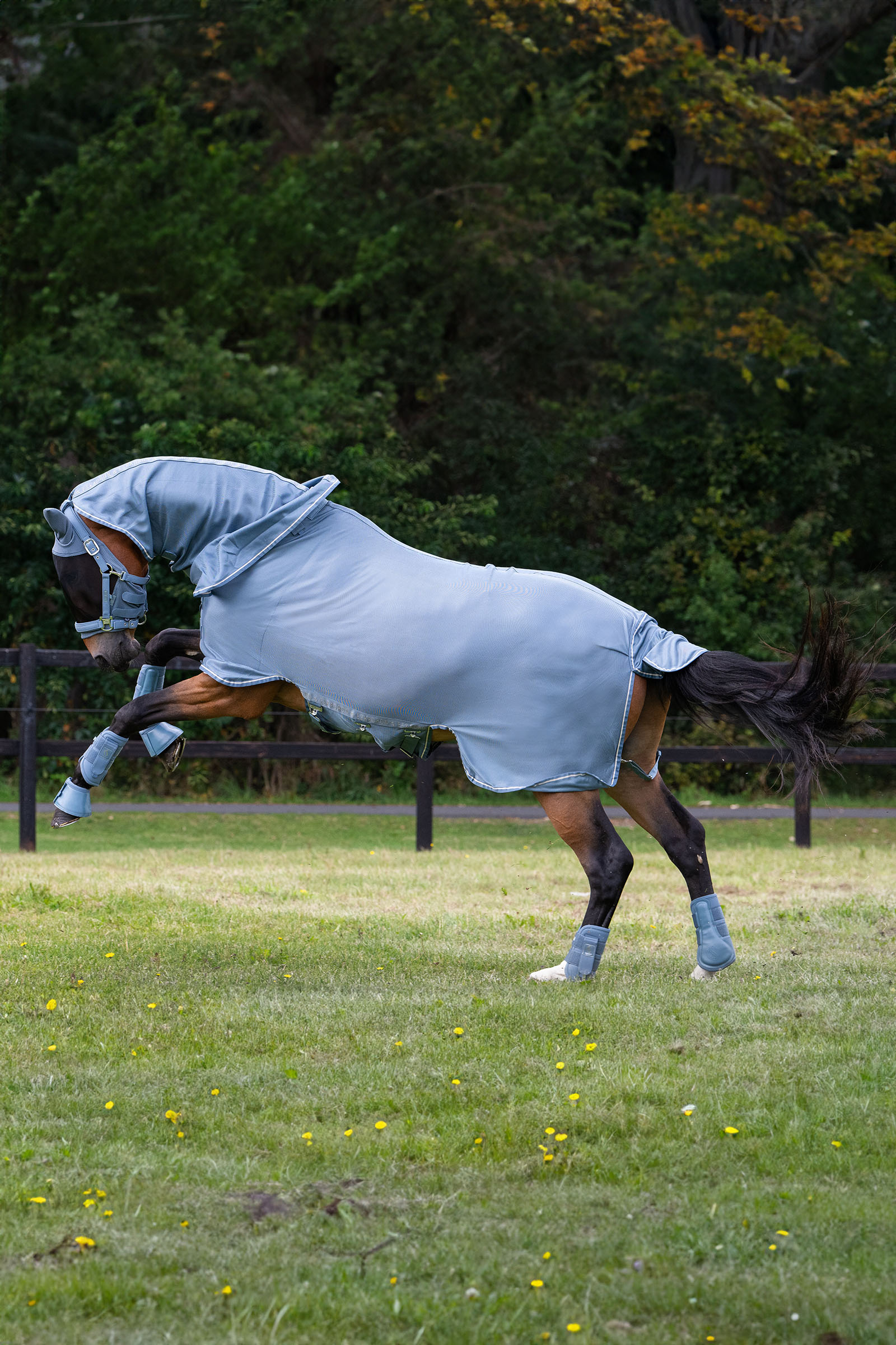 Eskadron Classic Sports SS25 Fly Detach-Neck flugt&auml;cke