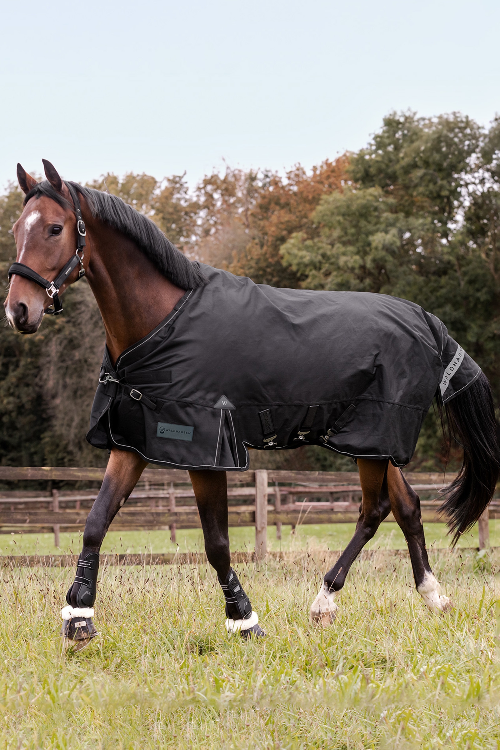 Waldhausen Utomhusmatta Scandic Light