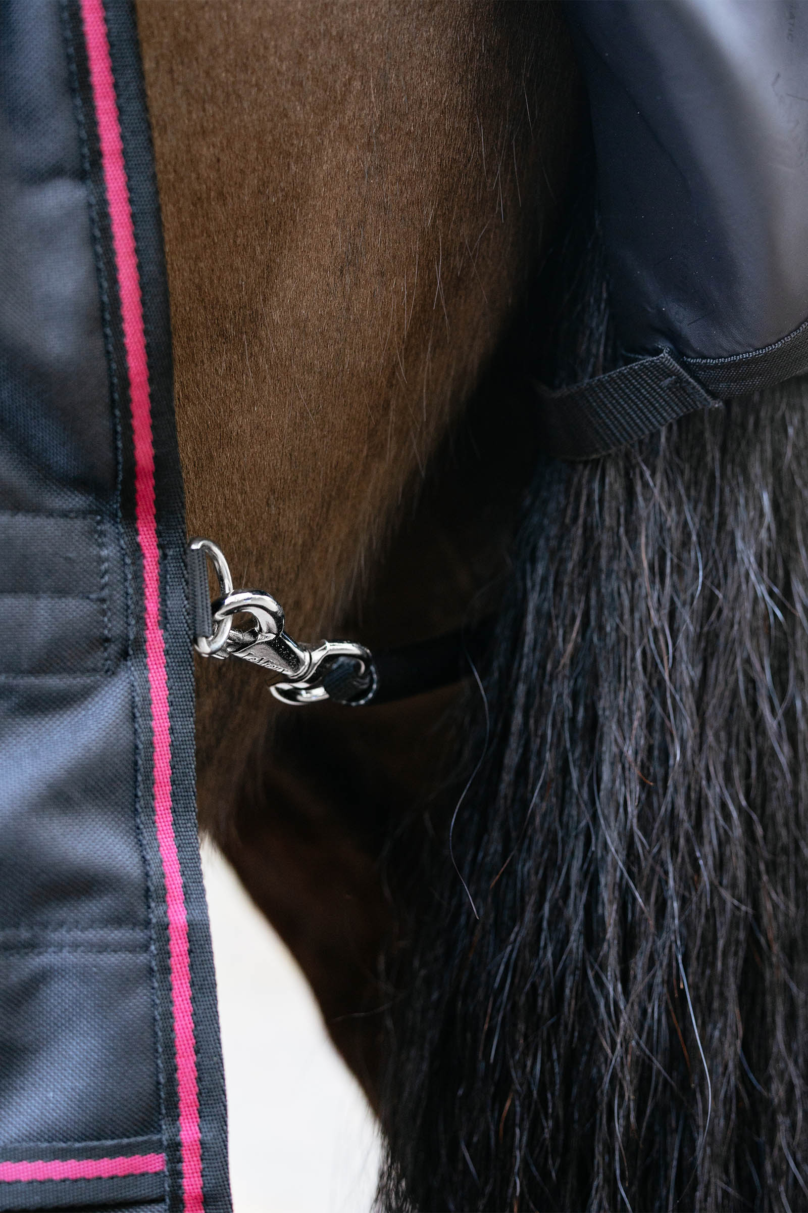 LeMieux Arika Storm-Tek utet&auml;cke med avtagbar hals, 50 g