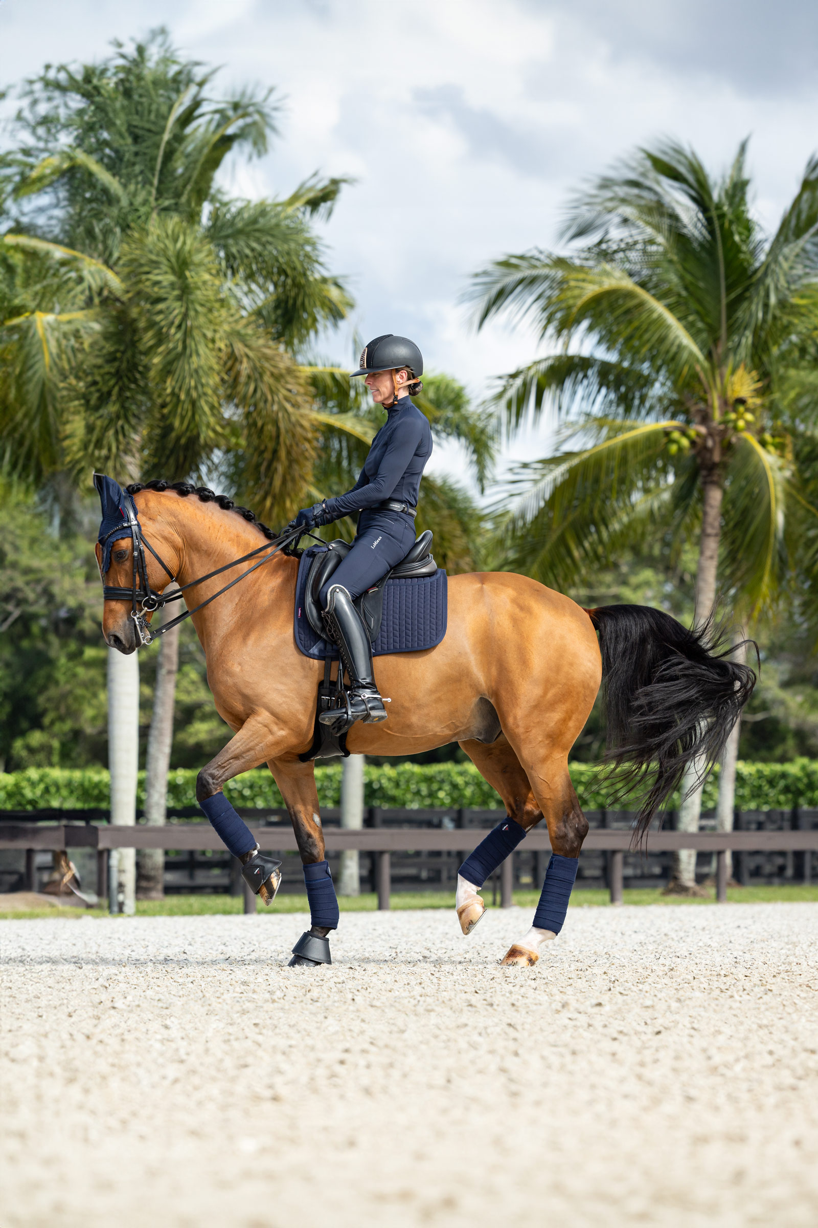 LeMieux Prosorb Plain 2 Pocket DR Square