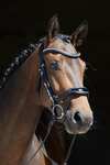 Kieffer Anouk Softtech Line Bridle