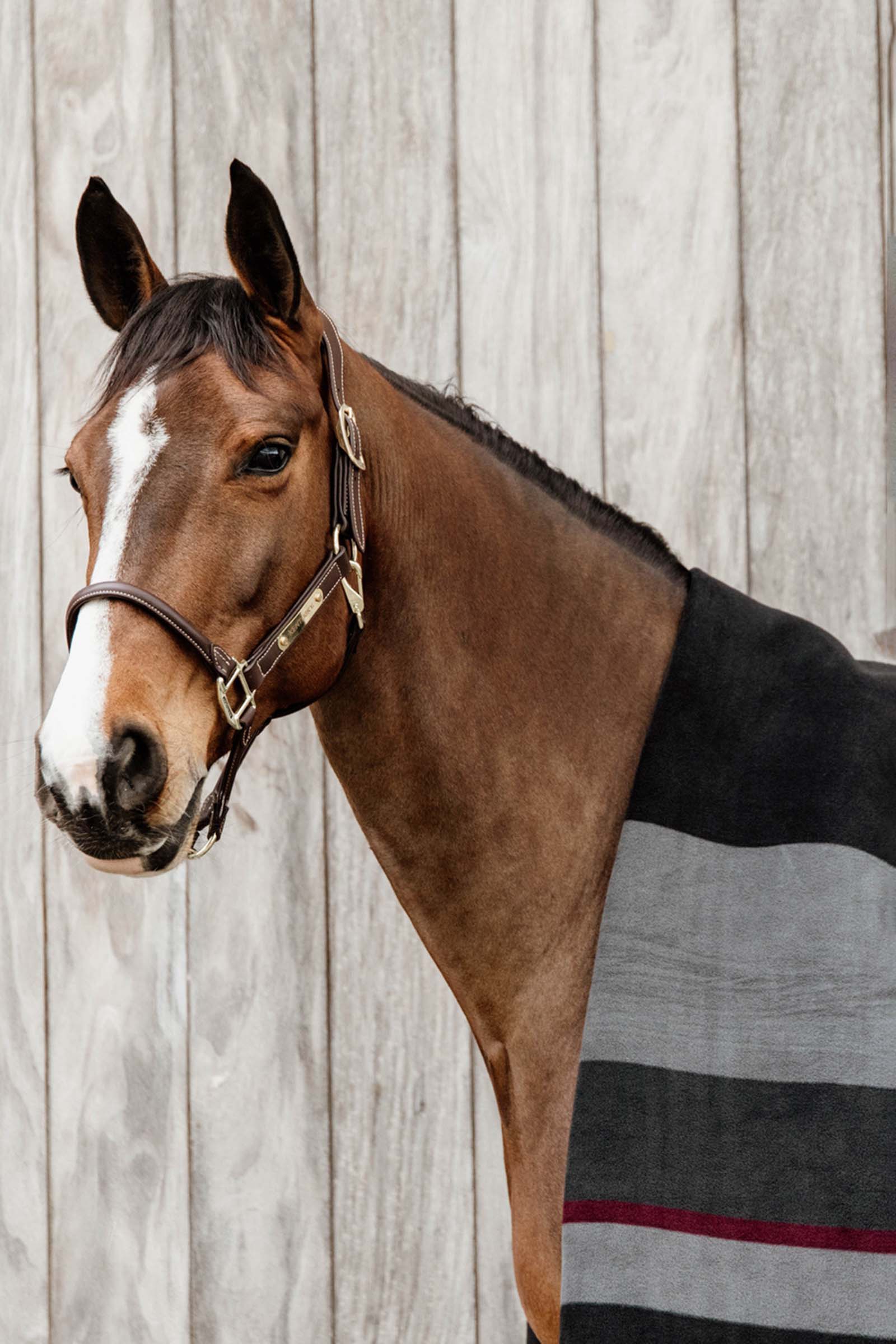 Kentucky Horsewear Heavy Fleece Täcke