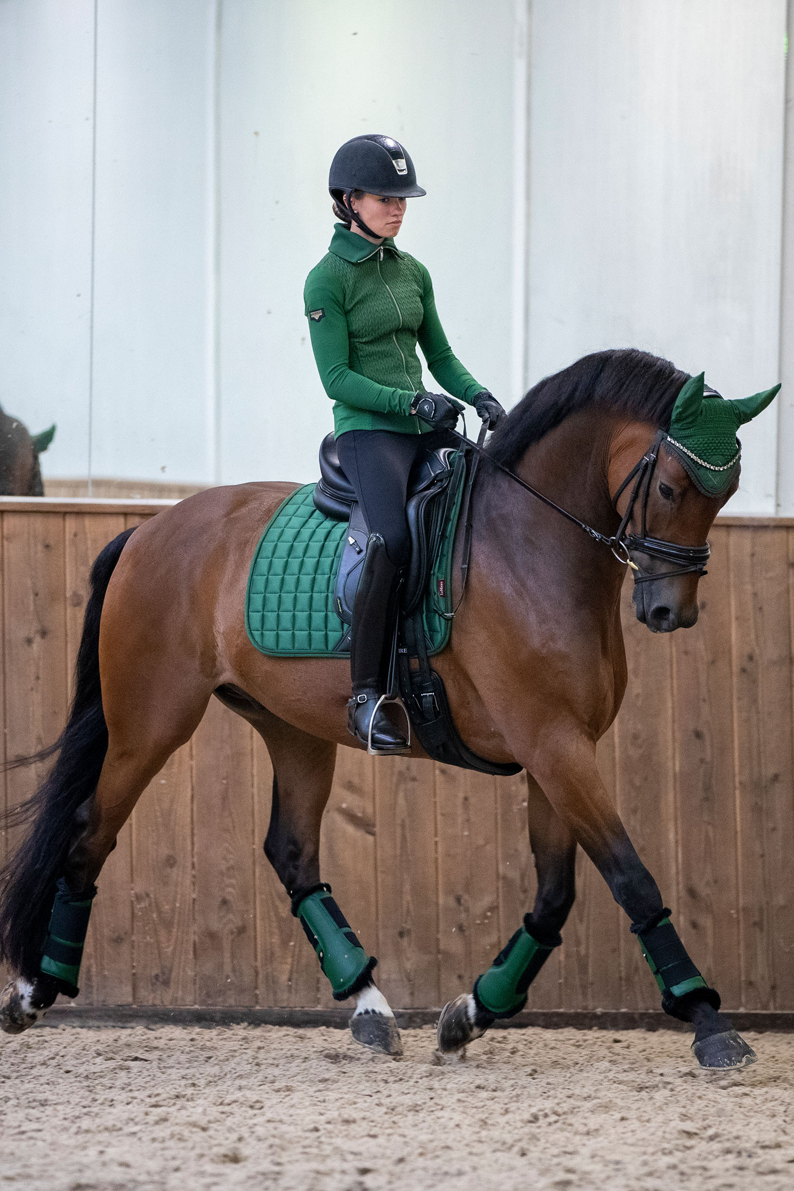 LeMieux Loire Classic dressyrschabrak