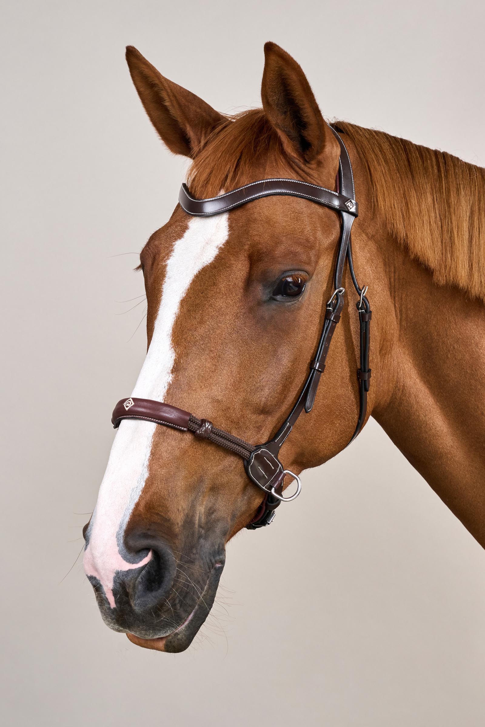 Dy'on Working bettl&ouml;st tr&auml;ns  