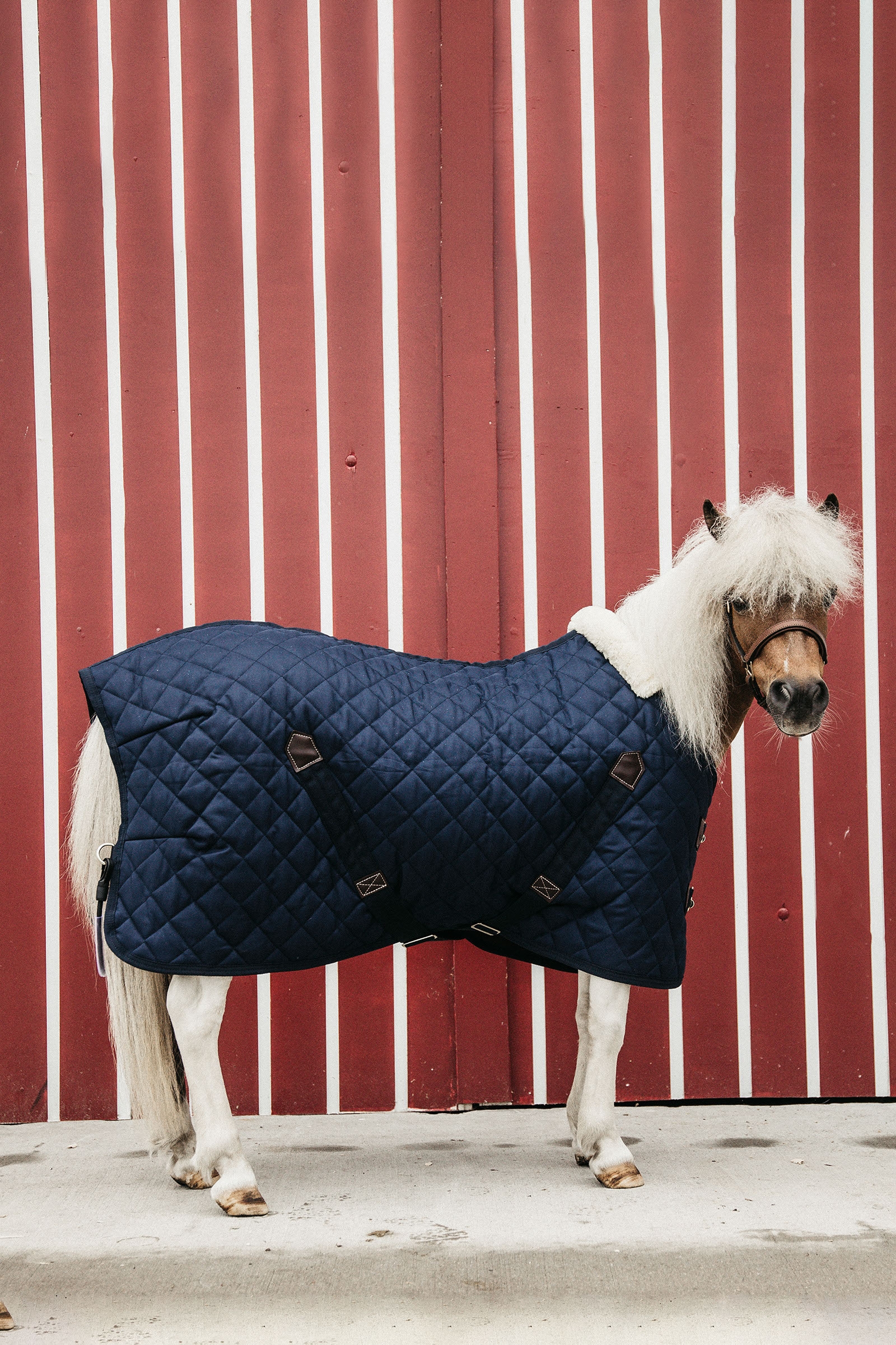 Kentucky Horsewear stallt&auml;cke 400 g