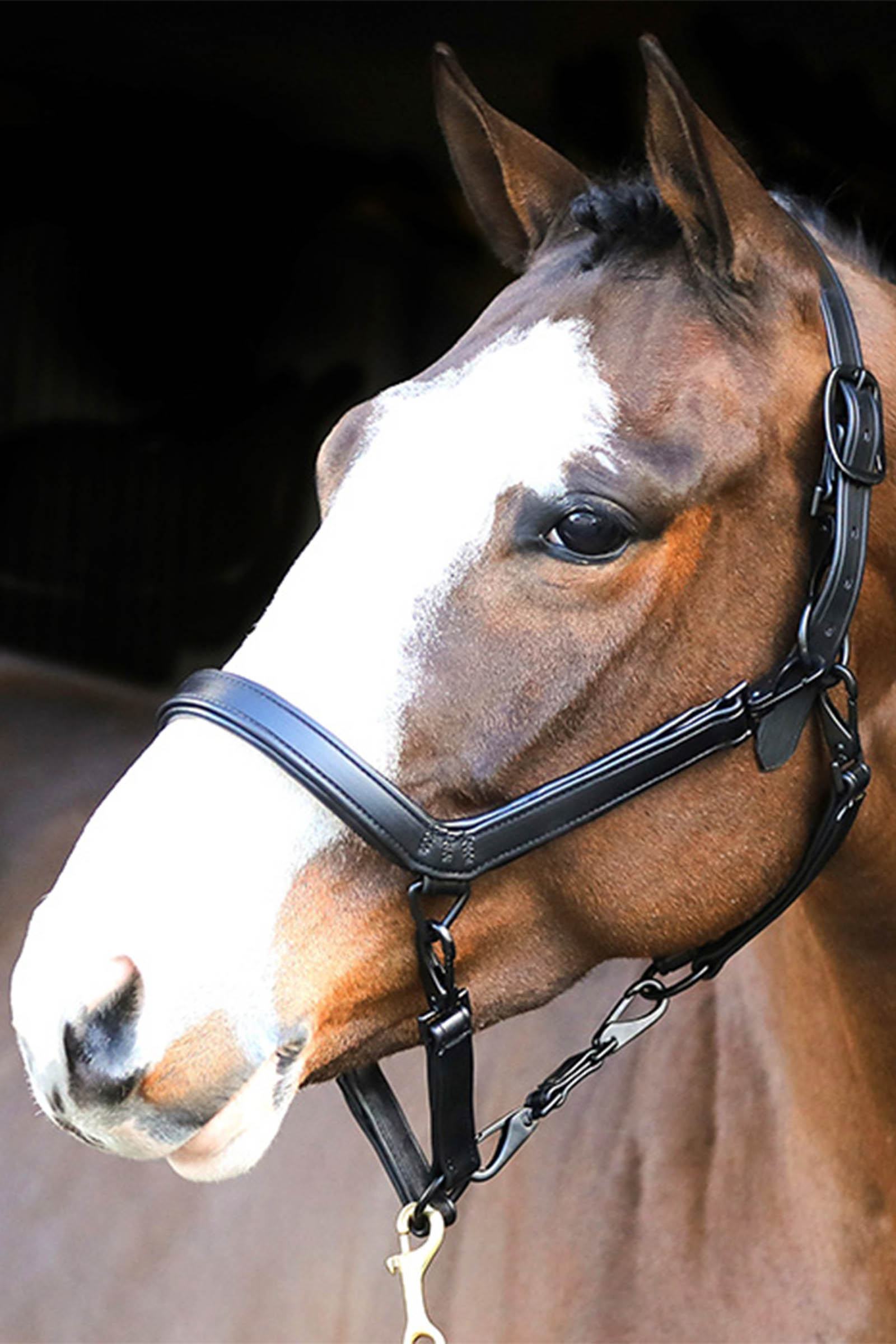 Liveryman L&auml;der Klippande Huvudkrage