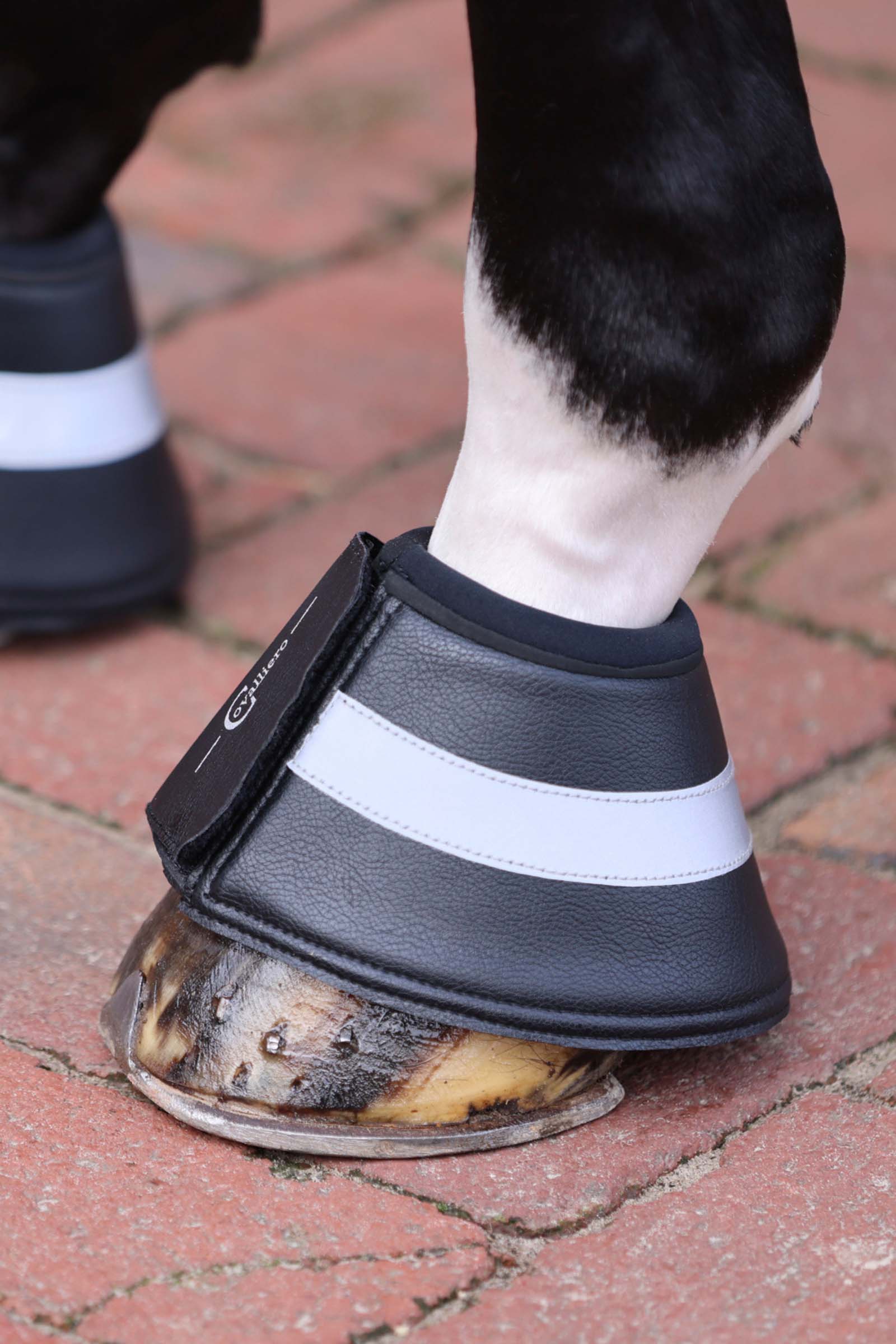 Covalliero boots för häst med reflex